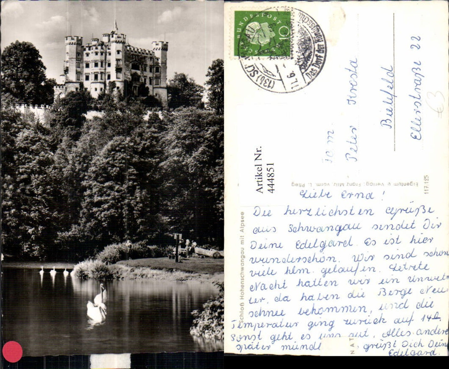 444851,Schloss Hohenschwangau m. Alpsee Schwan auf See