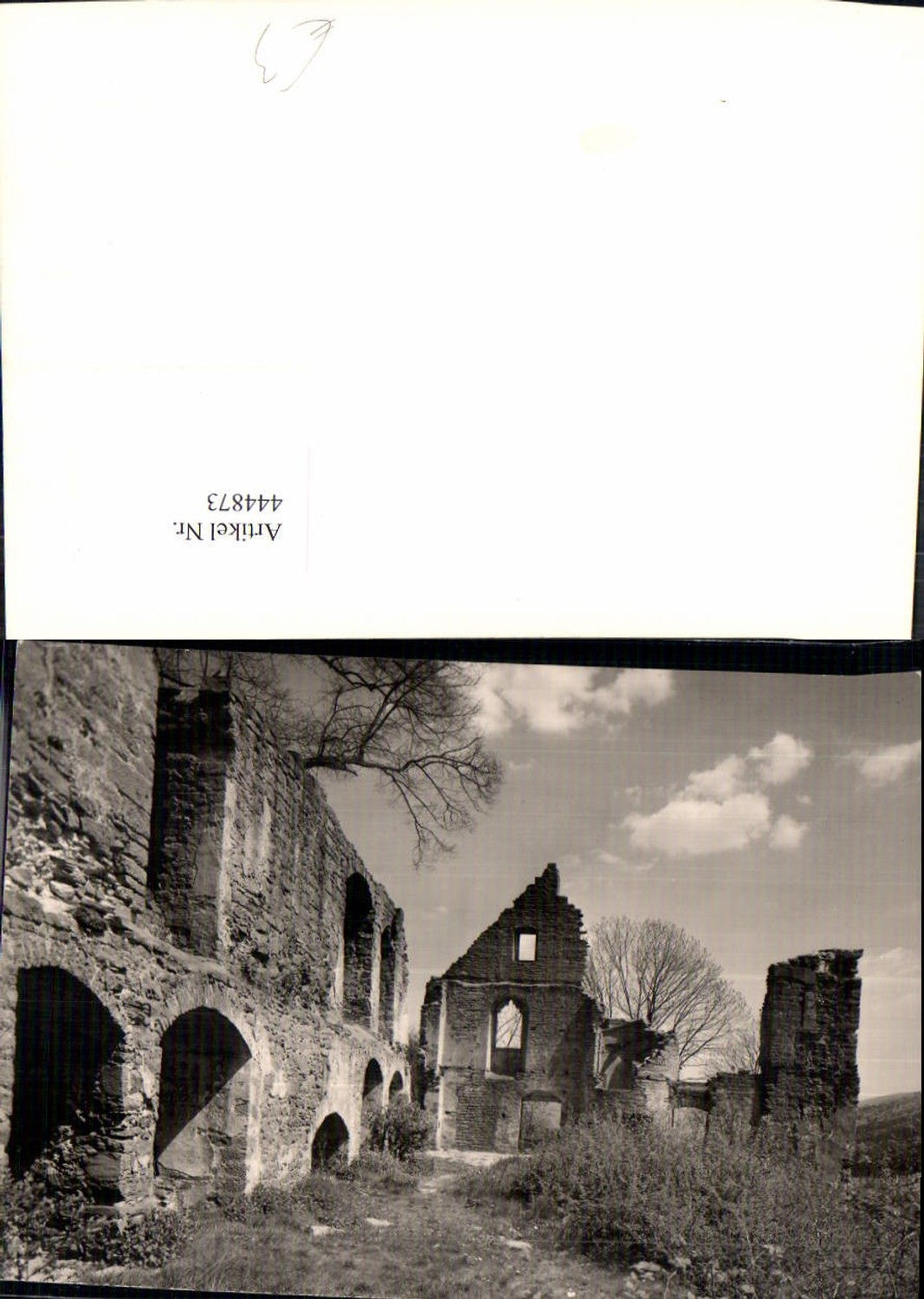 444873,Foto Ak Burg Ruine