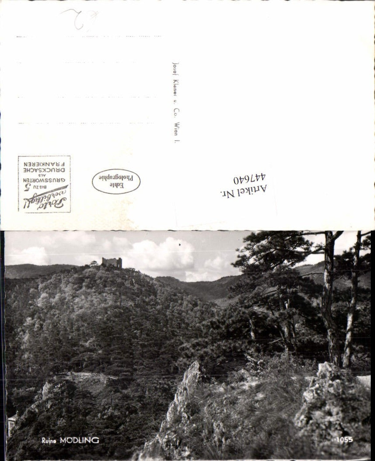 447640,Ruine Mödling