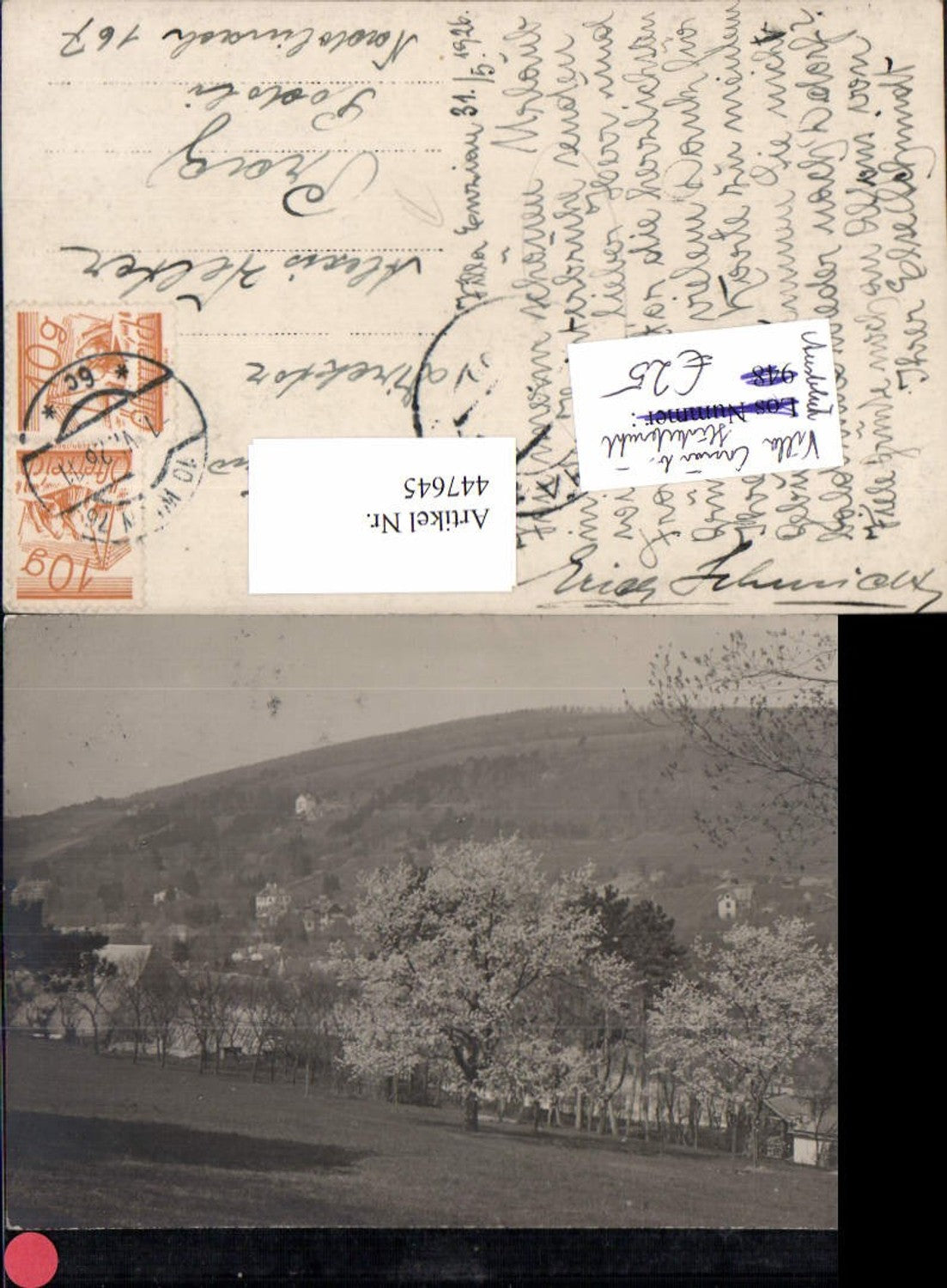 447645,Foto AK Hinterbrühl b. Mödling Villa Enzian Ausblick Baumblüte