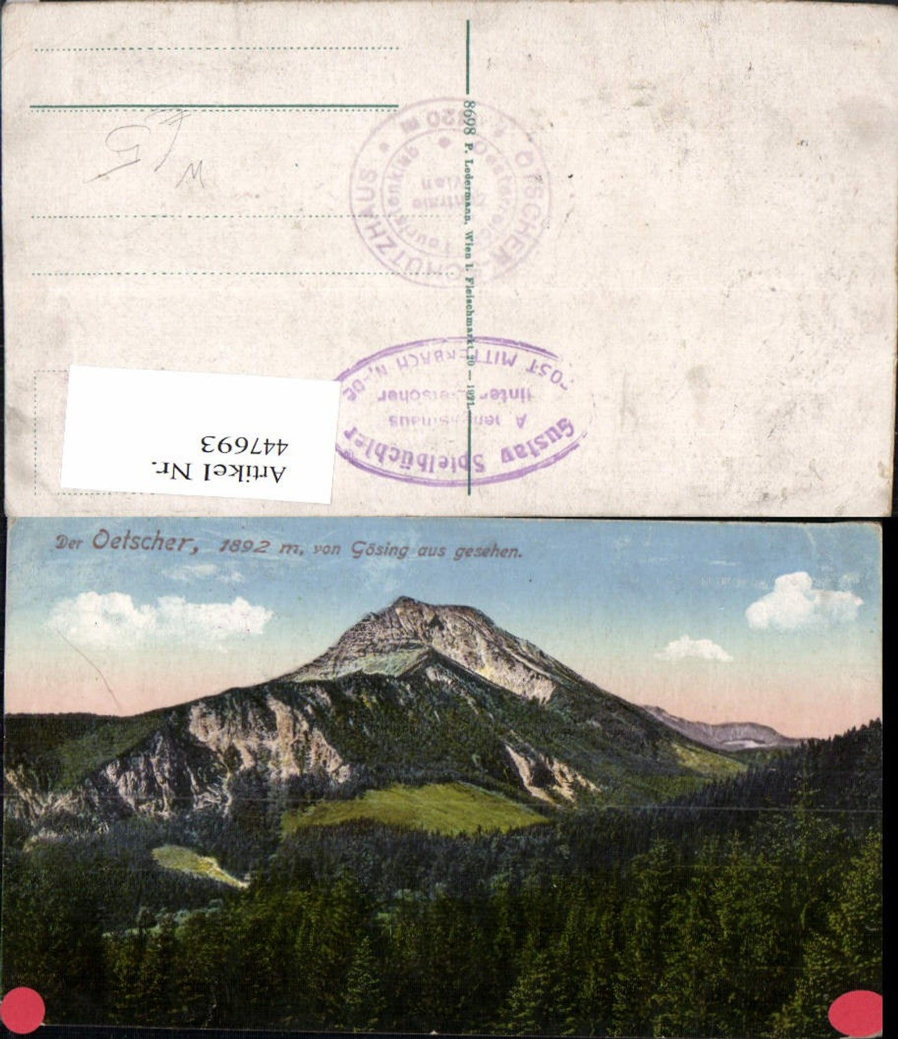 447693,Ötscher von Gösing Bergkulisse