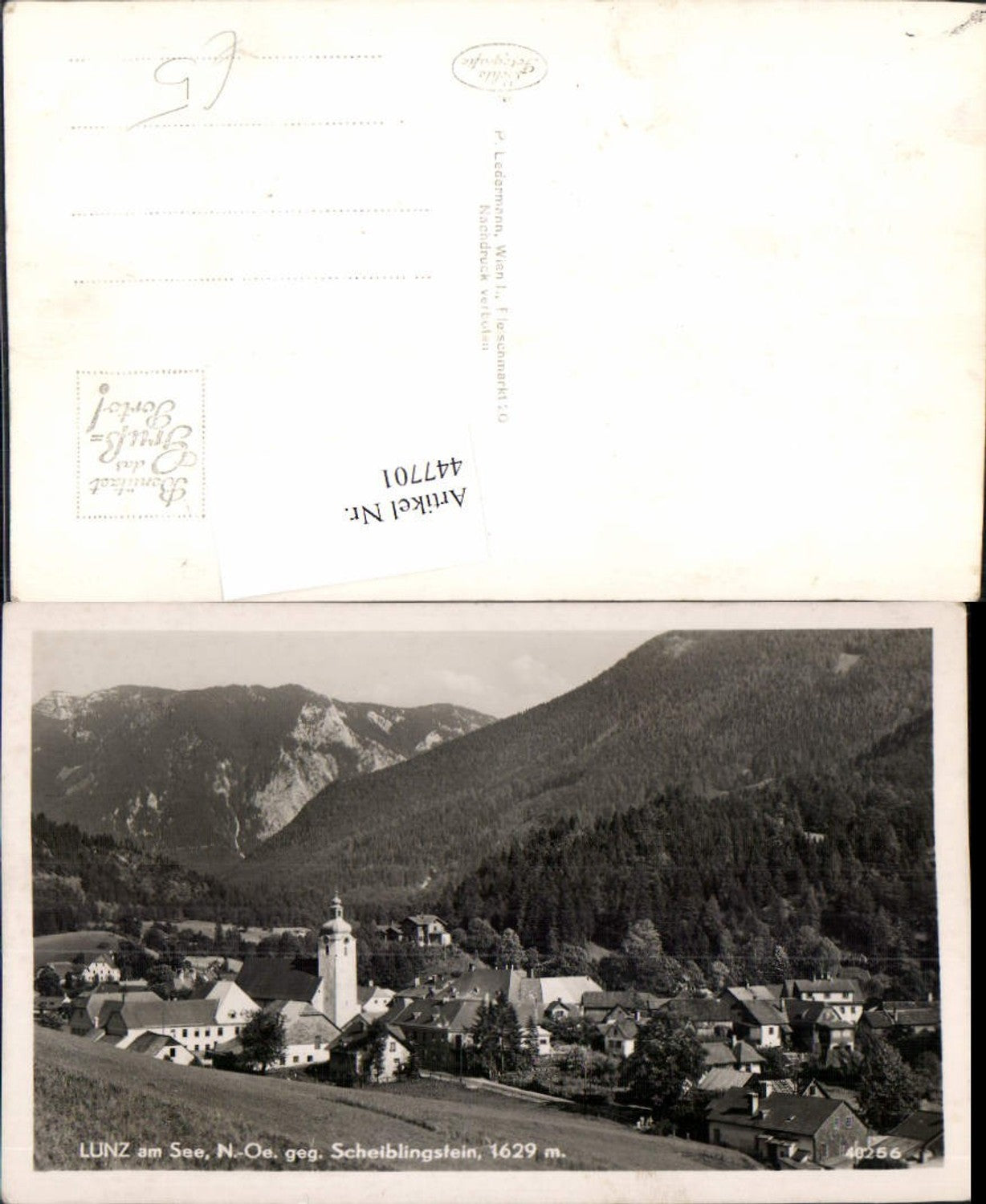 447701,Lunz am See Totale geg. Scheiblingstein Bergkulisse