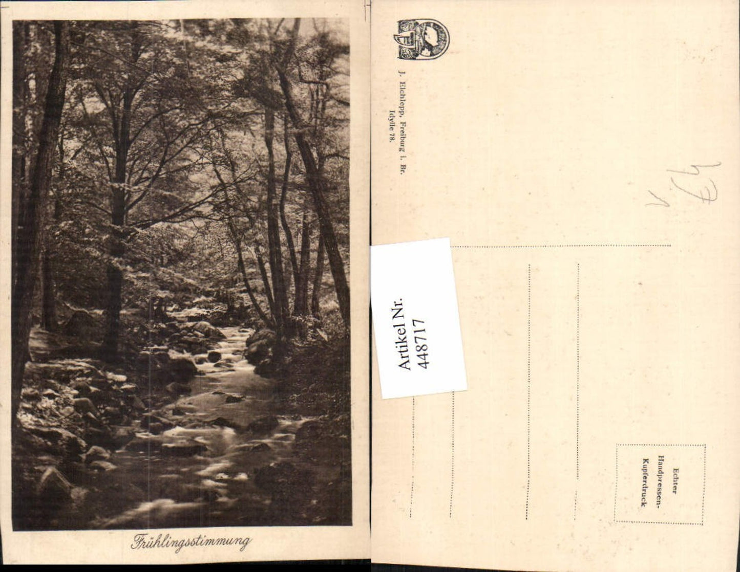 448717,Fotokunst J. Elchlepp Freiburg Frühlingsstimmung Wald Bach