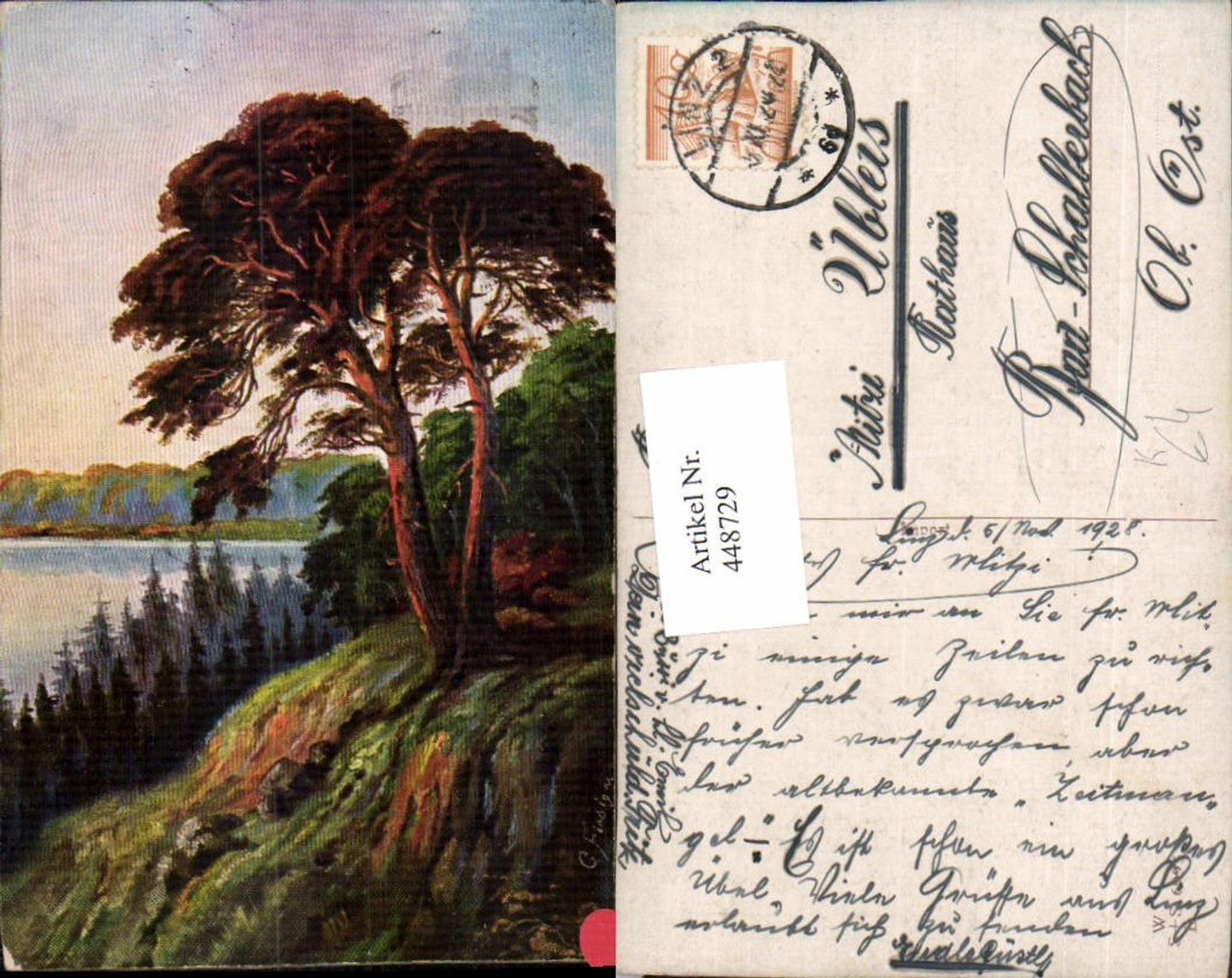448729,Künstler AK G. Fiebiger Landschaft See Wald Bäume