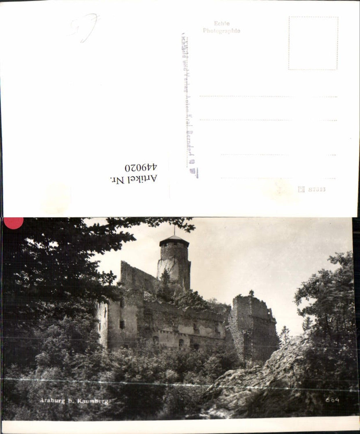 449020,Araburg Burg b. Kaumberg