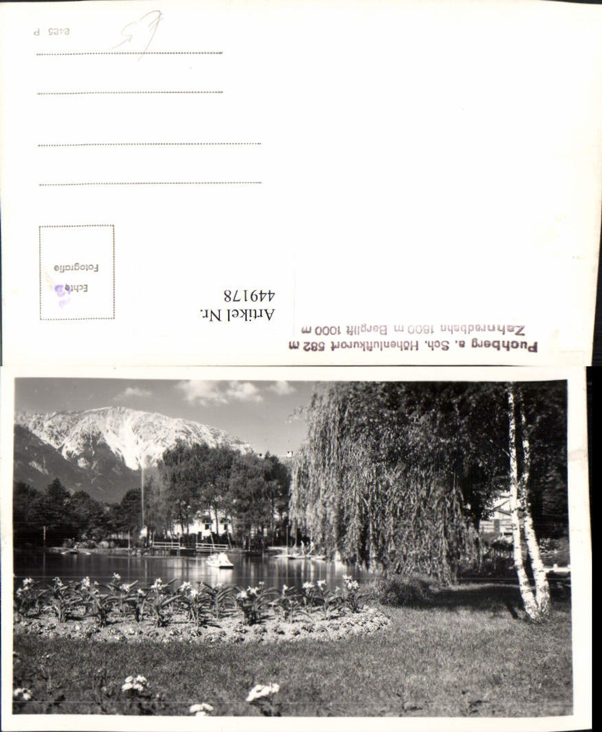 449178,Foto AK Puchberg am Schneeberg Teich Bergkulisse