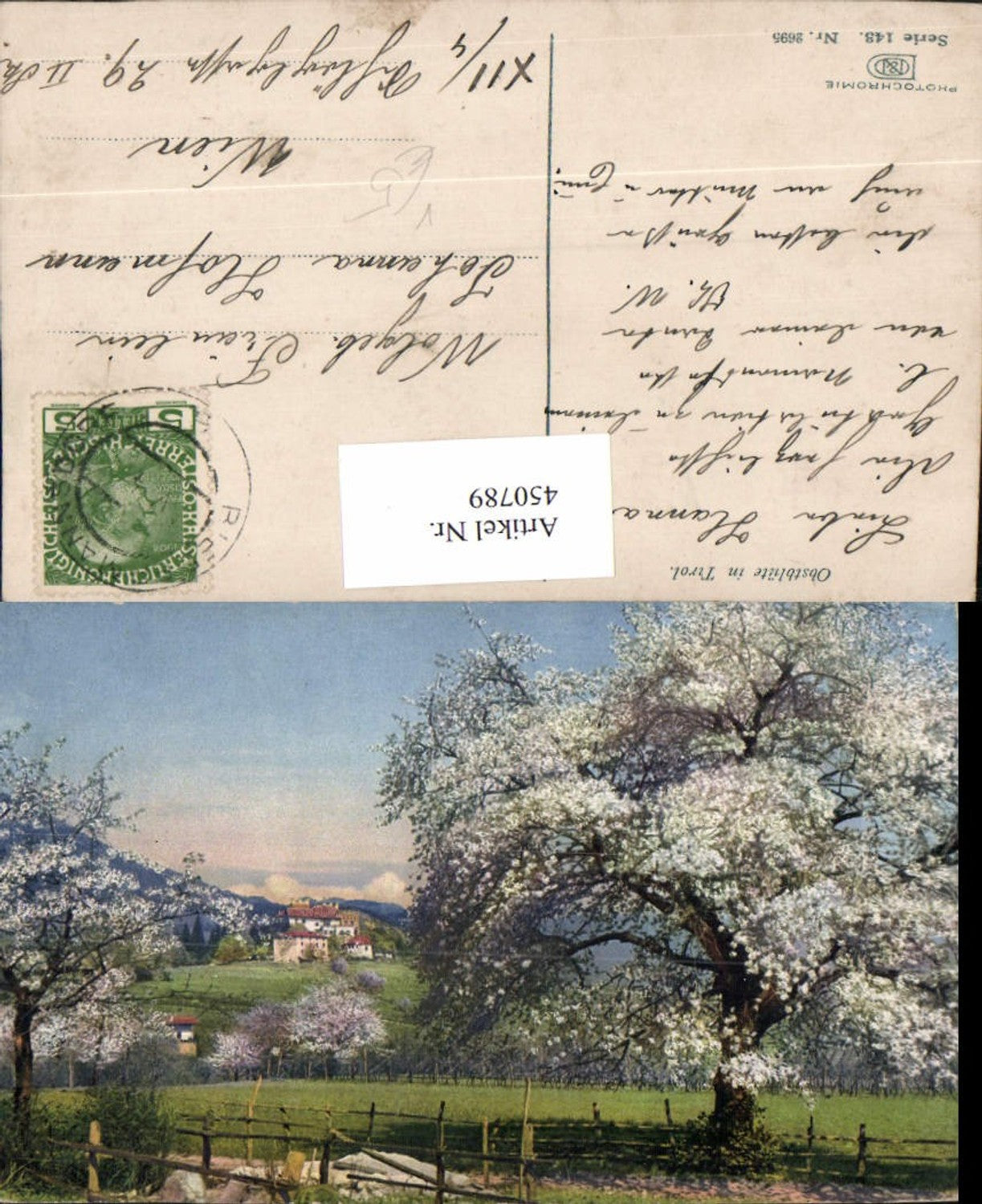 450789,Photochromie Nenke & Ostermaier 143/2695 Landschaft Baumblüte