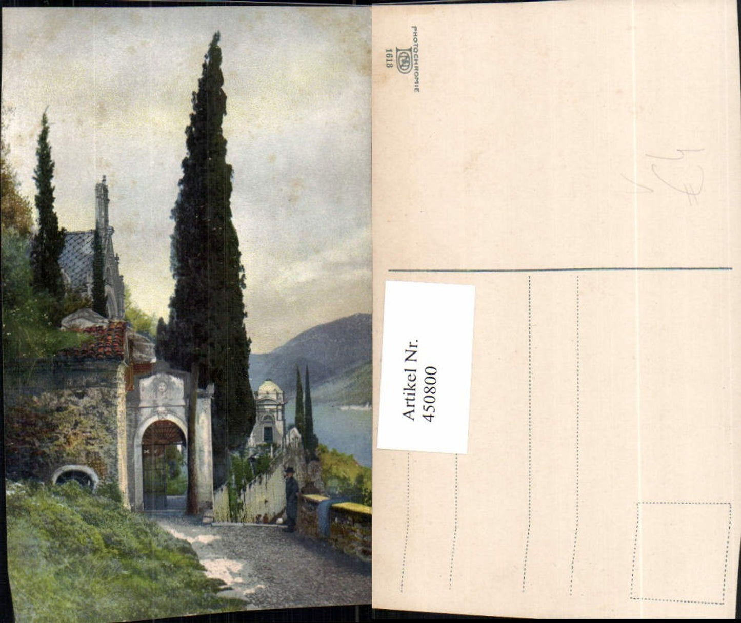 450800,Photochromie Nenke & Ostermaier 1613 Gittertor Baum Partie
