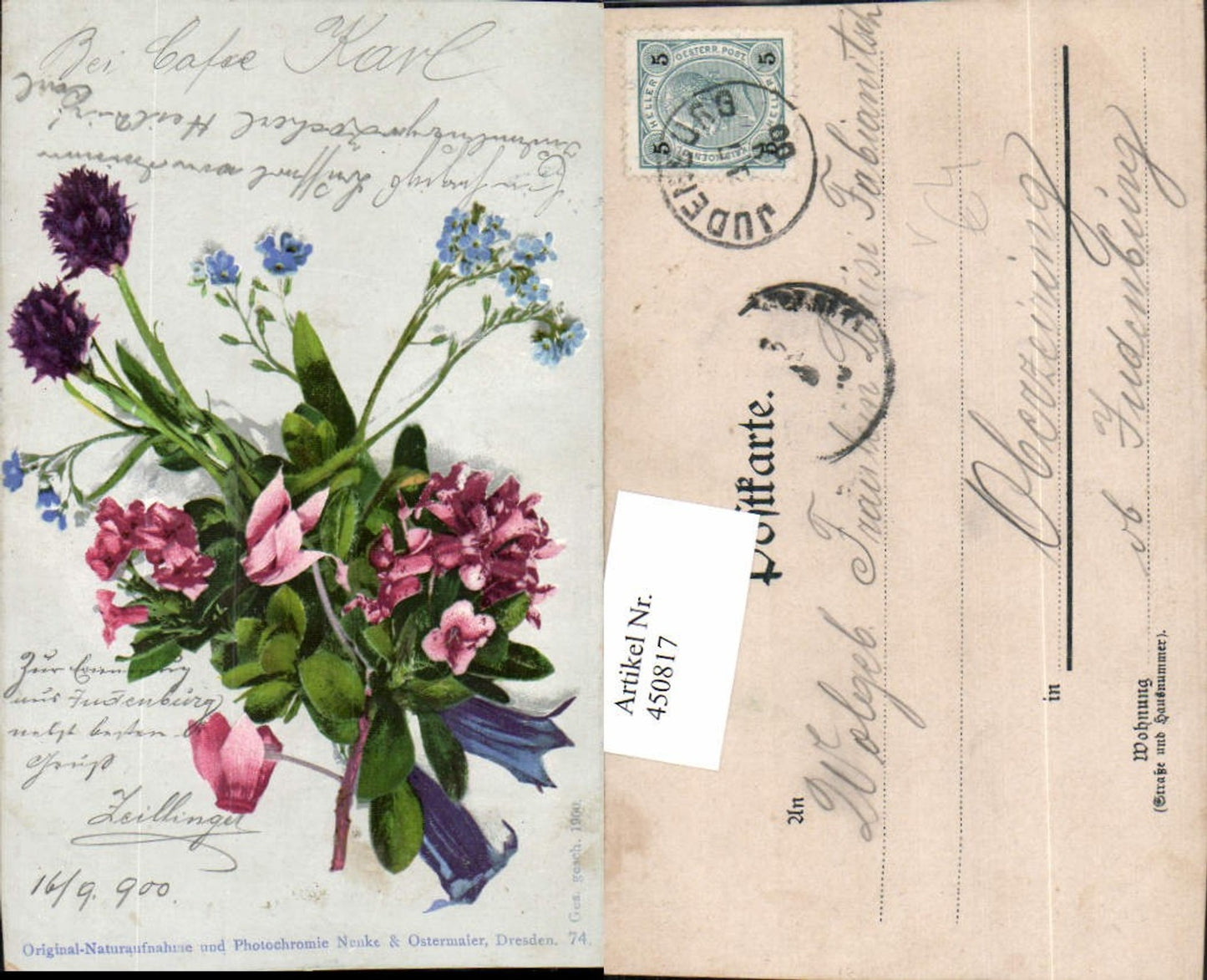 450817,Photochromie Nenke & Ostermaier 74 Blumenstrauß Blumen Enzian
