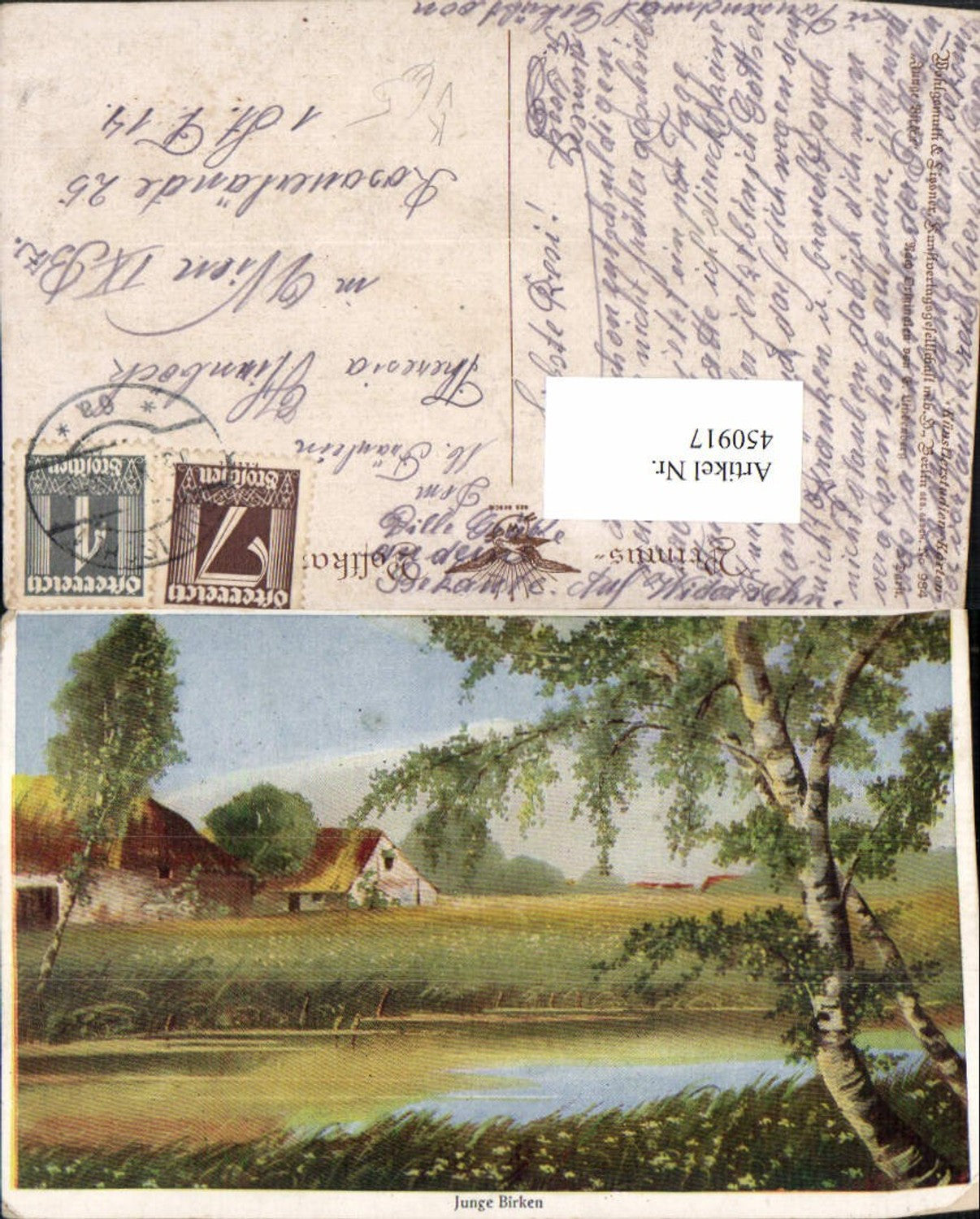 450917,Primus AK 984 Künstler Lindenberg Junge Birken Landschaft