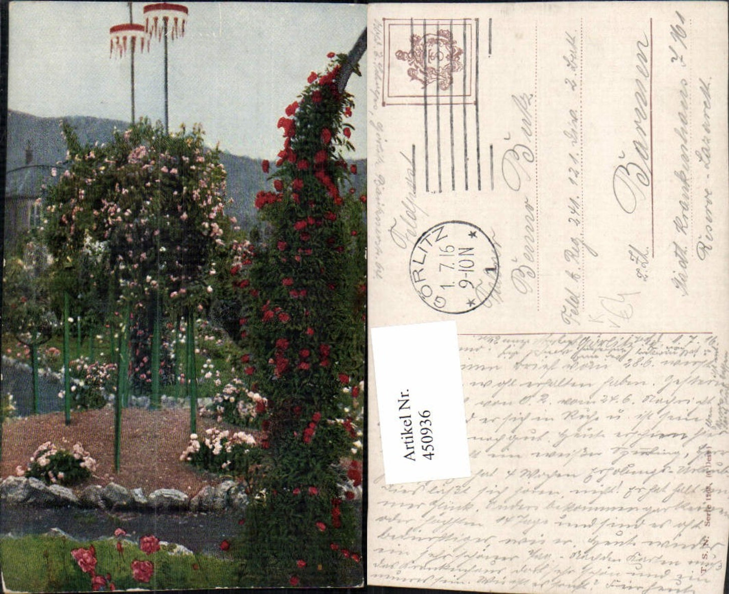 450936,Theo Stroefer 1263 Künstlerkarte Rosengarten Rosen