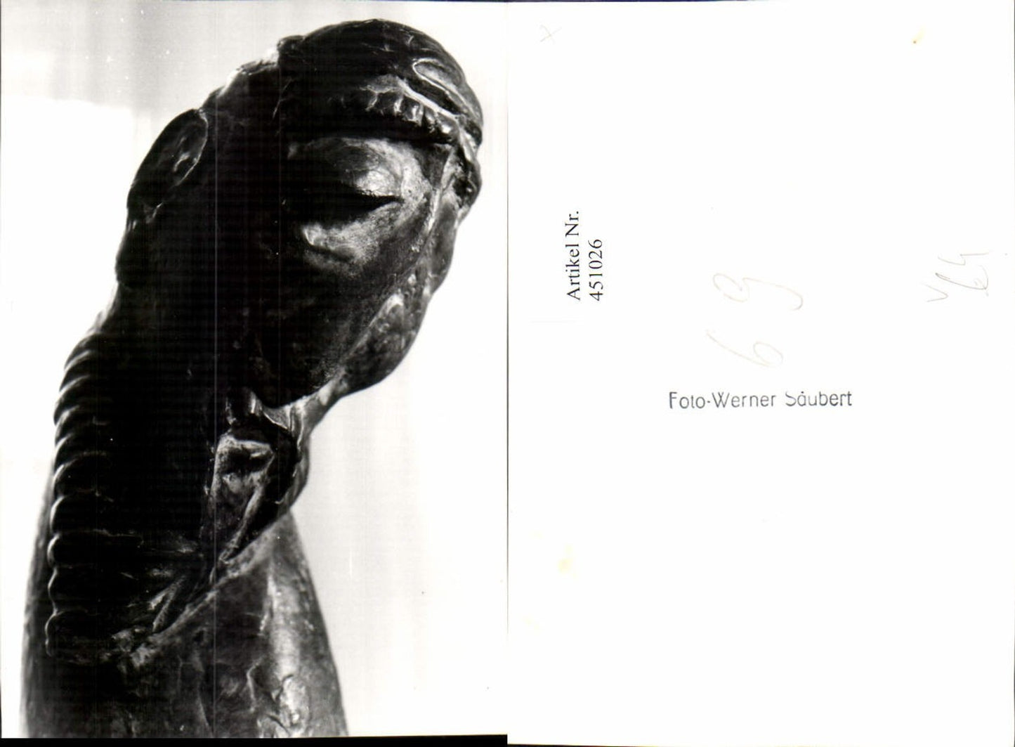 451026,Photo art Werner Cleans Man Head Bust