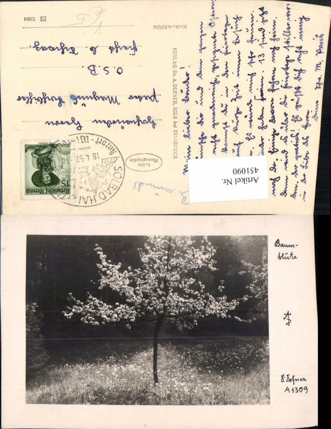 451090,Fotokunst Dr. Defner A1309 Baumblüte Wiese