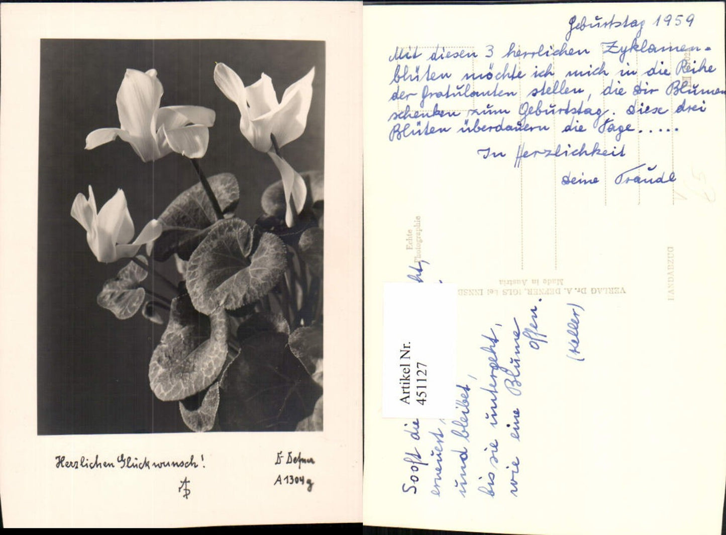 451127,Photo art Dr. Defner A1304g Congratulations Cyclamen Flower