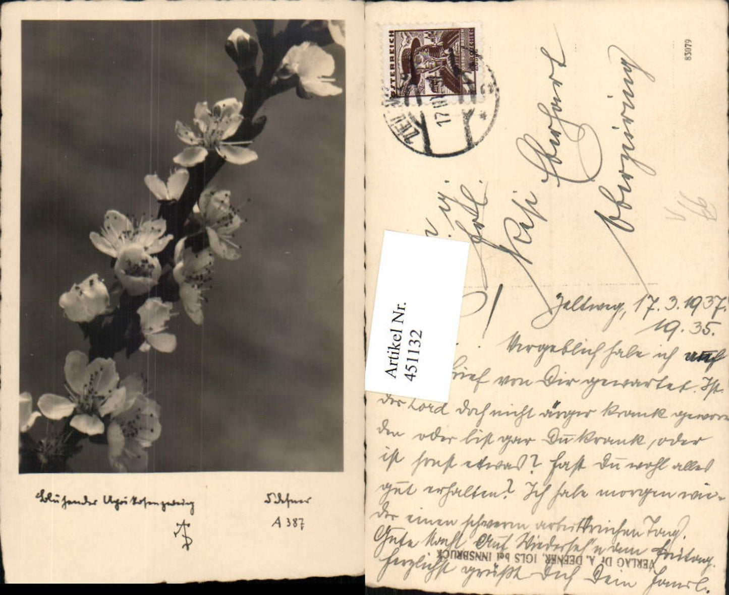 451132,Photographic Art Dr. Defner A387 Flowering Apricot Branch Blossoms