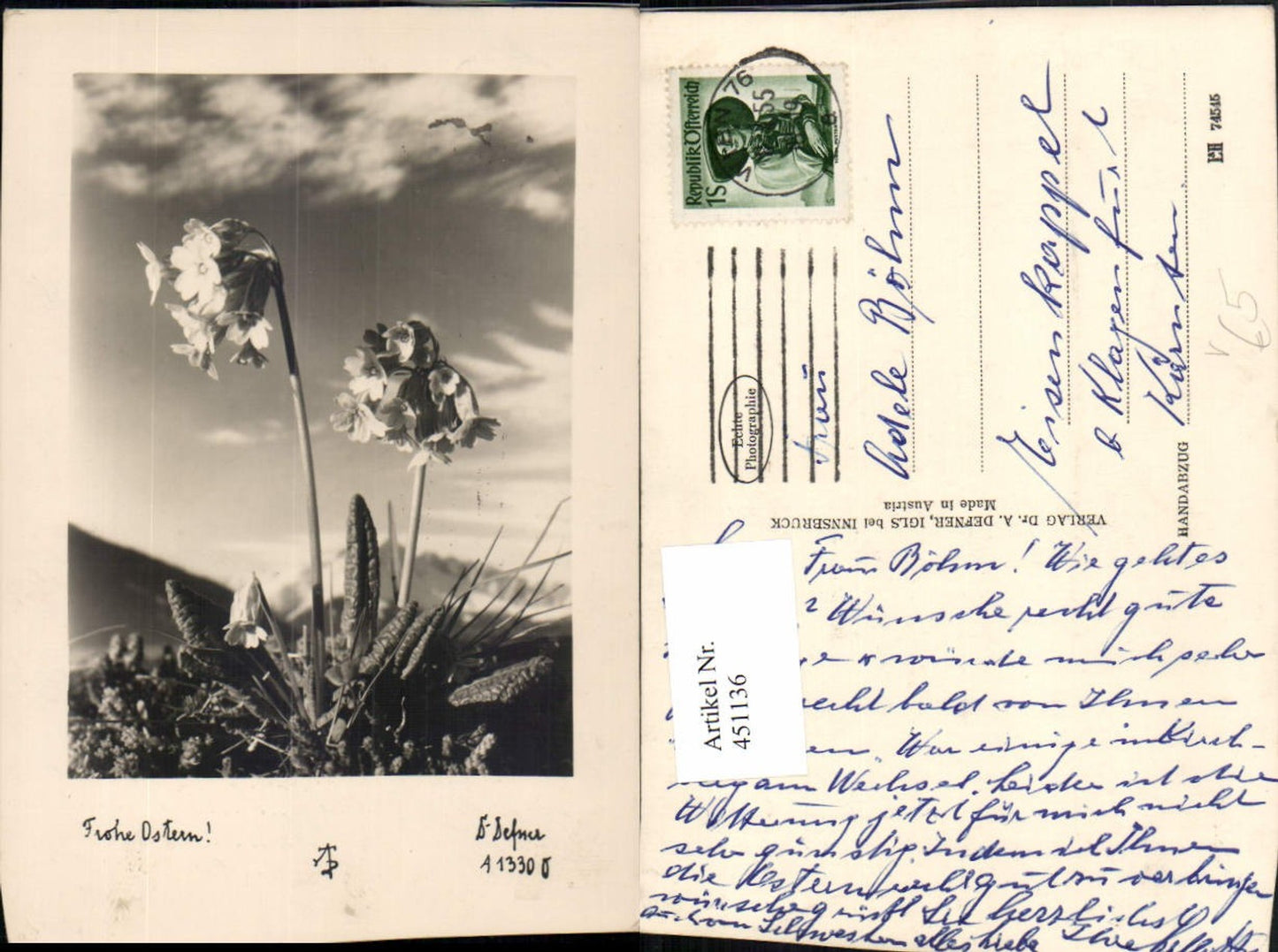 451136,Photographic Art Dr. Defner A1330 Easter Primrose Flower