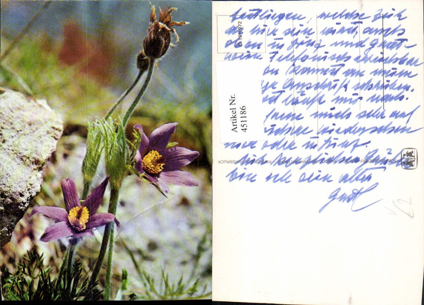 451186,SOS-Kinderdorf O10/1972 Lila Blumen Detail