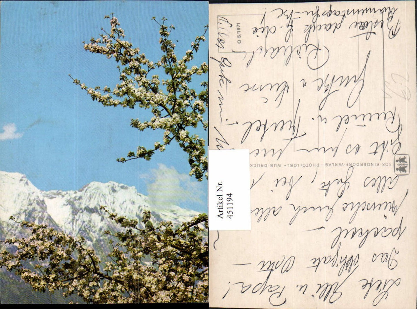 451194,SOS-Kinderdorf O5/1971 Baumblüte Bergkulisse