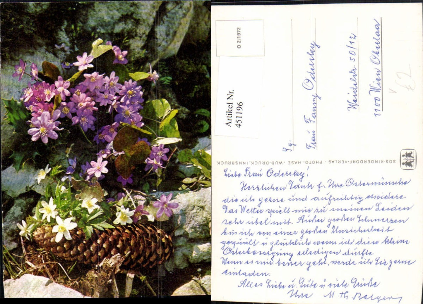 451196,SOS-Kinderdorf O2/1972 Leberblümchen Blumen