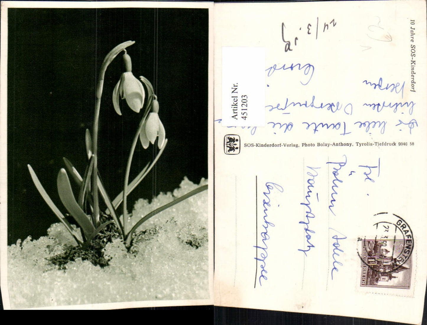 451203,SOS-Kinderdorf Schneeglöckchen Blume Schnee