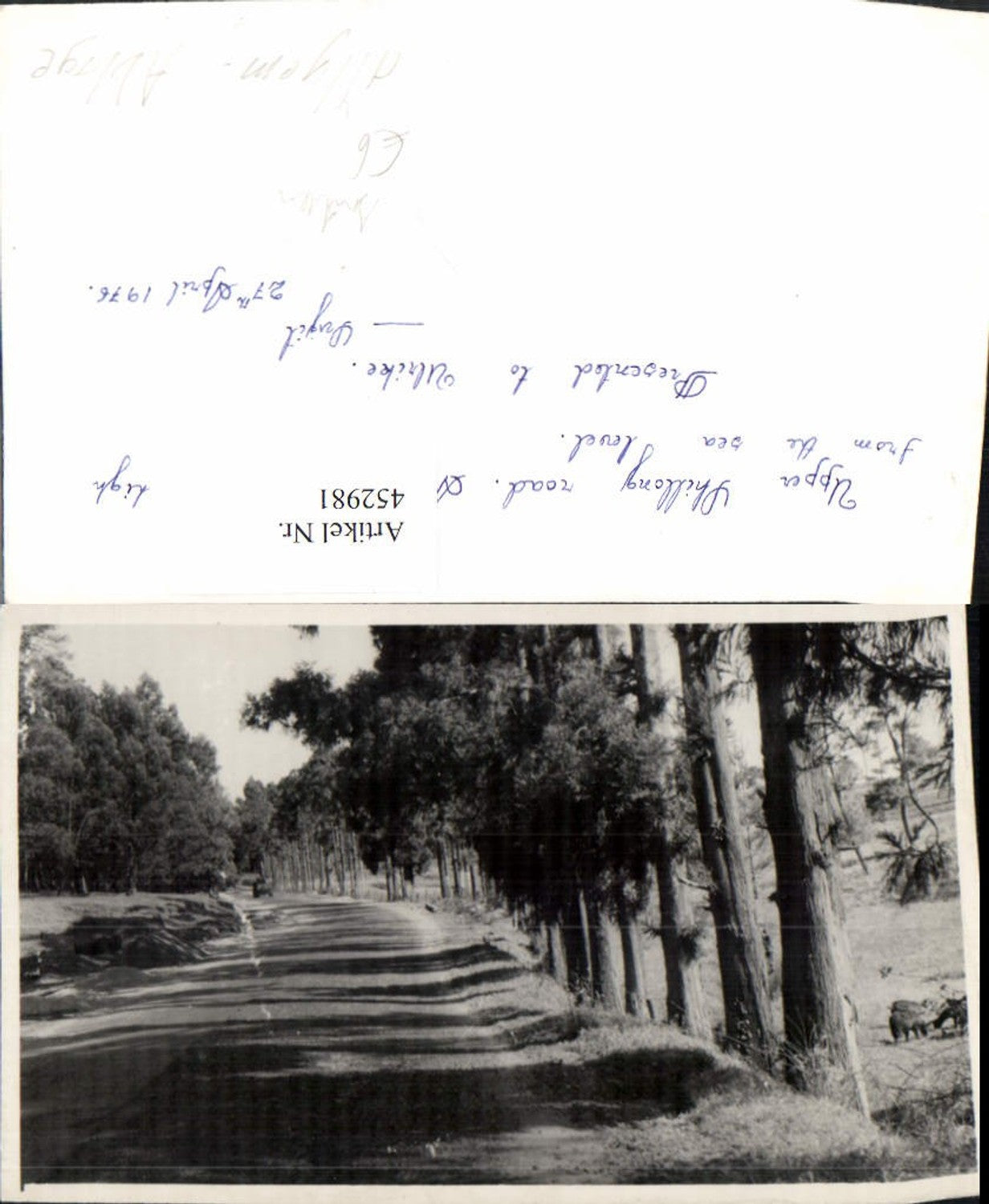 452981,Foto AK India Meghalaya Upper Shillong road Straßenpartie