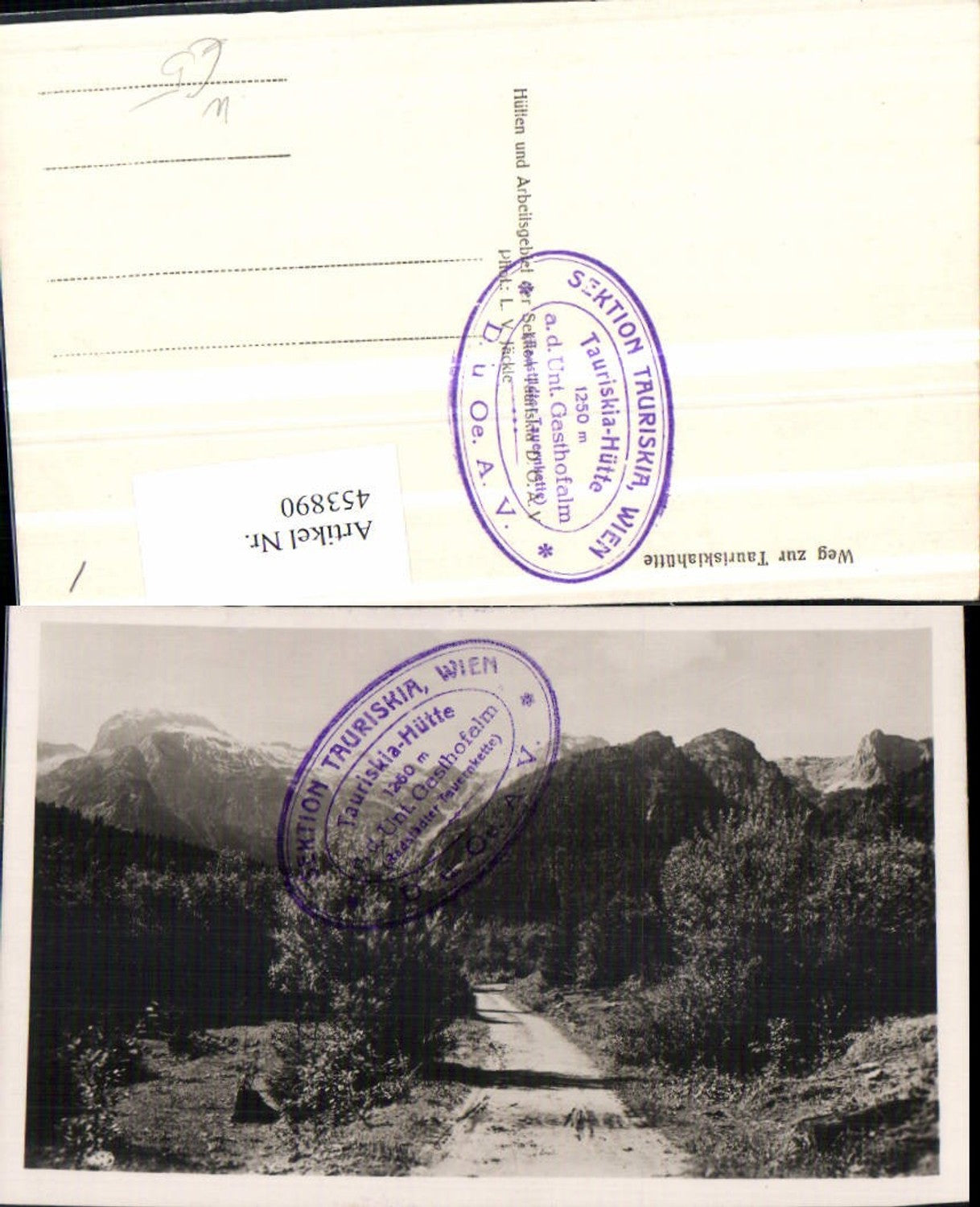 453890,Weg zur Tauriskiahütte b. Zederhaus Bergkulisse