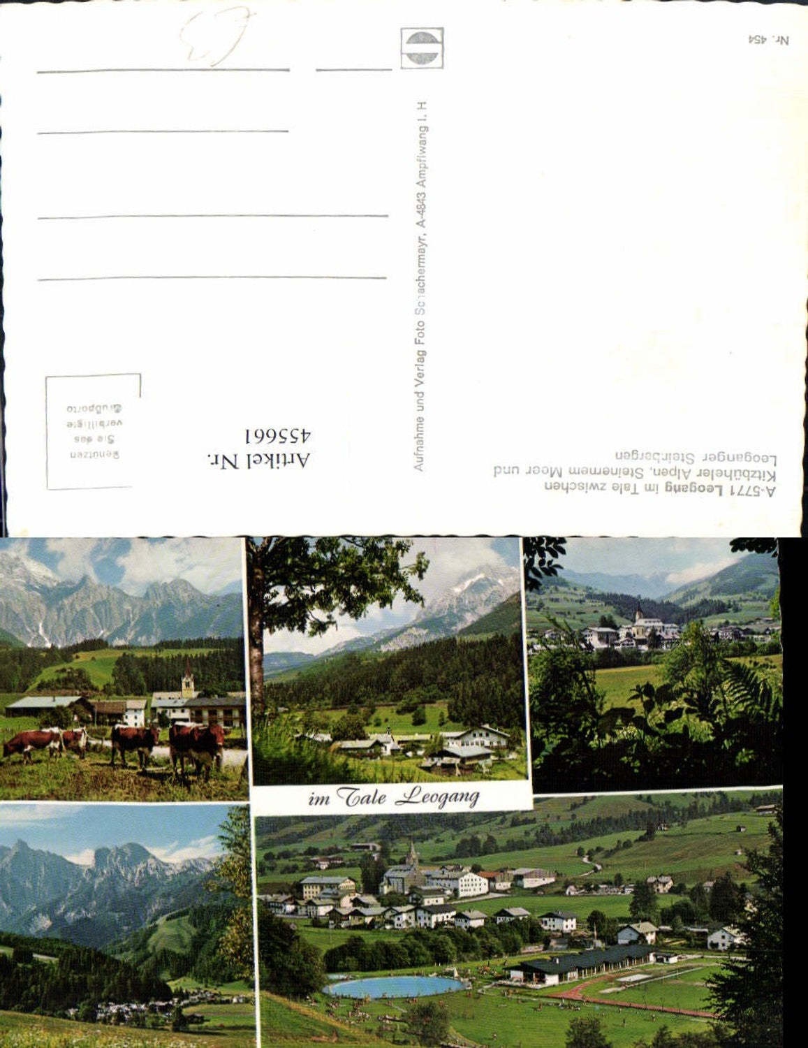 455661,Leogang Totale Freibad Kühe Mehrbildkarte
