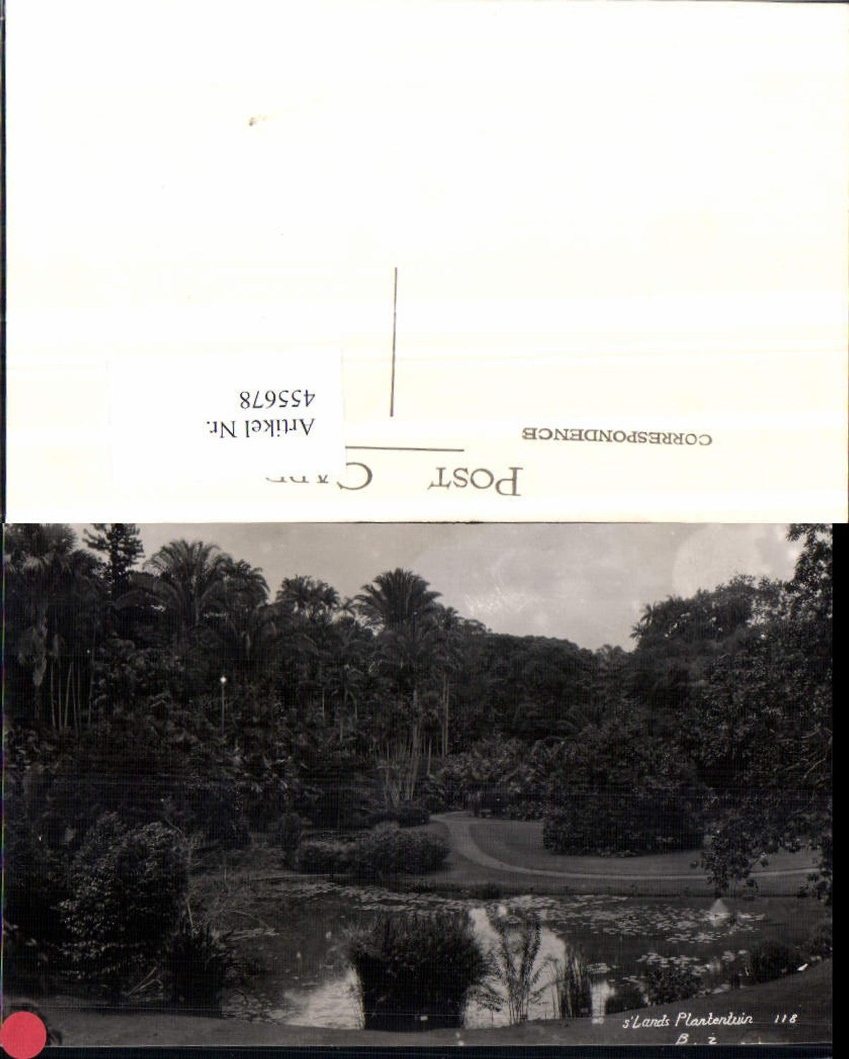 455678,Indonesia Jakarta Kebun Raya Bogor Lands Plantentuin Botanischer Garten