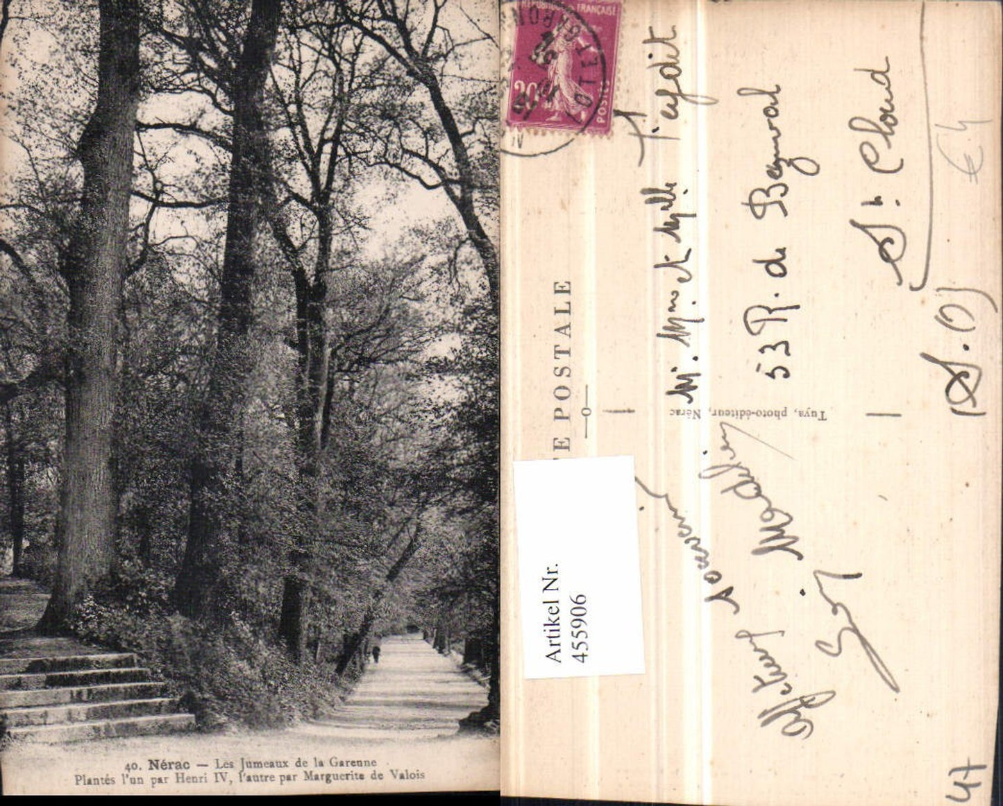 455906,Aquitanien Lot-et-Garonne Nerac Jumeaux de la Garenne Bäume