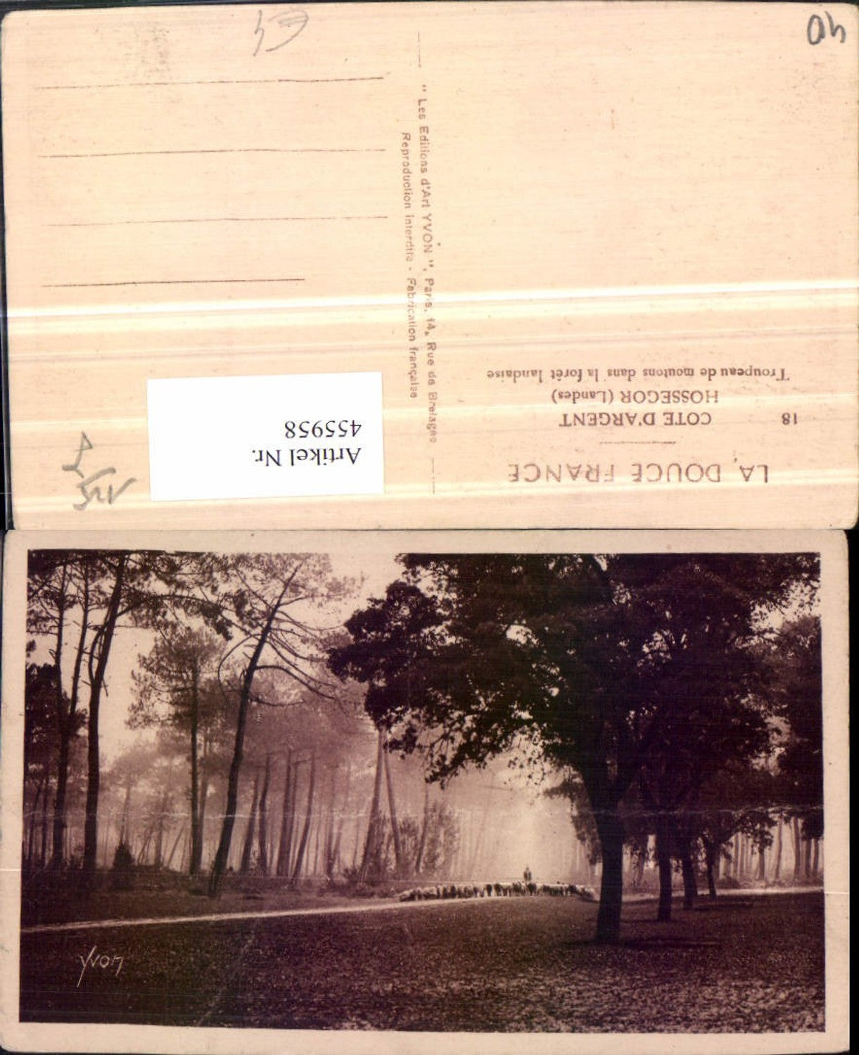 455958,Aquitanien Landes Hossegor Troupeau de moutons Schafe Wald