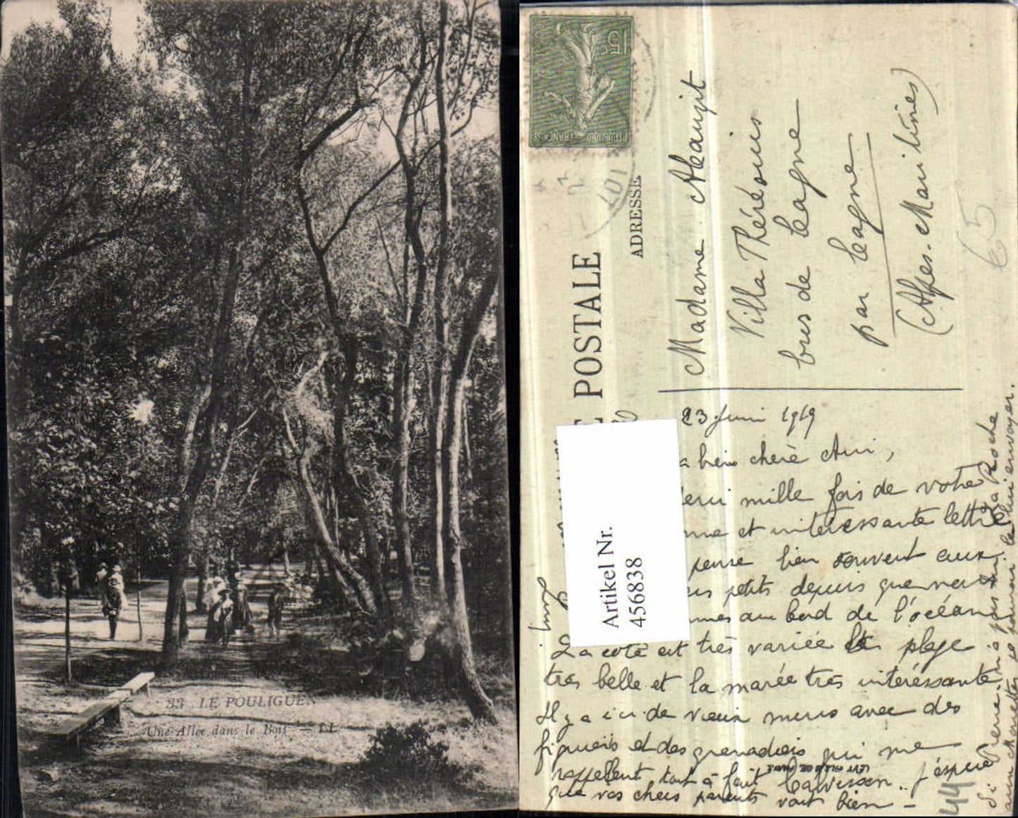 456838,Pays da la Loire Loire-Atlantique Le Pouliguen Allee dans le Bois Bäume