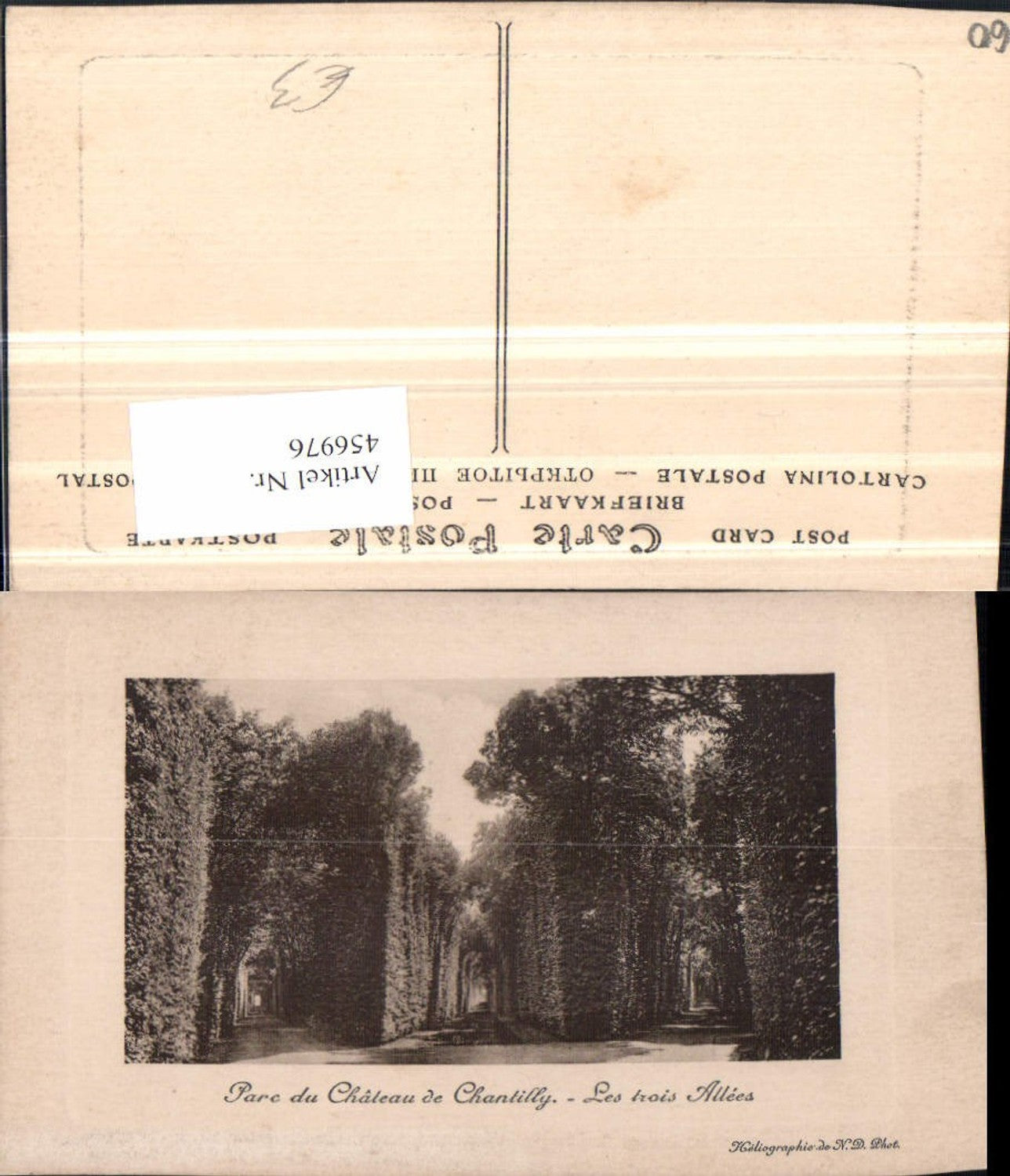 456976,Picardie Oise Chateau de Chantilly Parc Park Allee