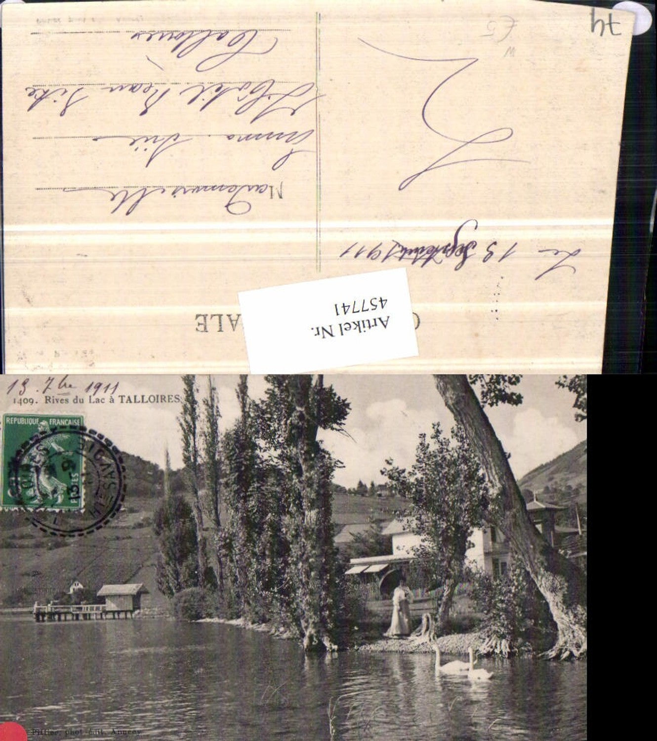 457741,Rhone-Alpes Haute-Savoie Rives du Lac a Talloires See Schwäne