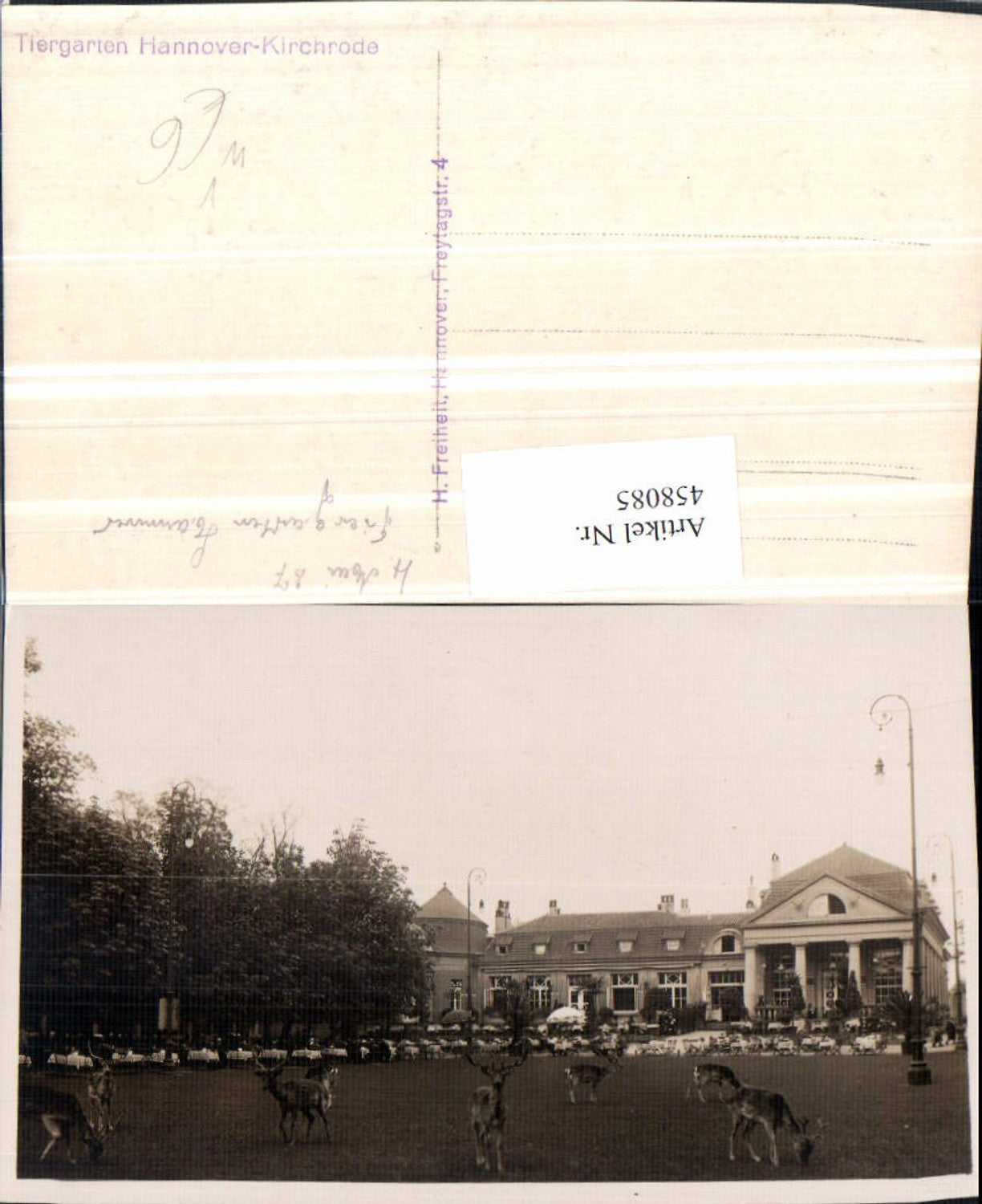 458085,Foto AK Hannover Kirchrode Tiergarten Wild pub H. Freiheit