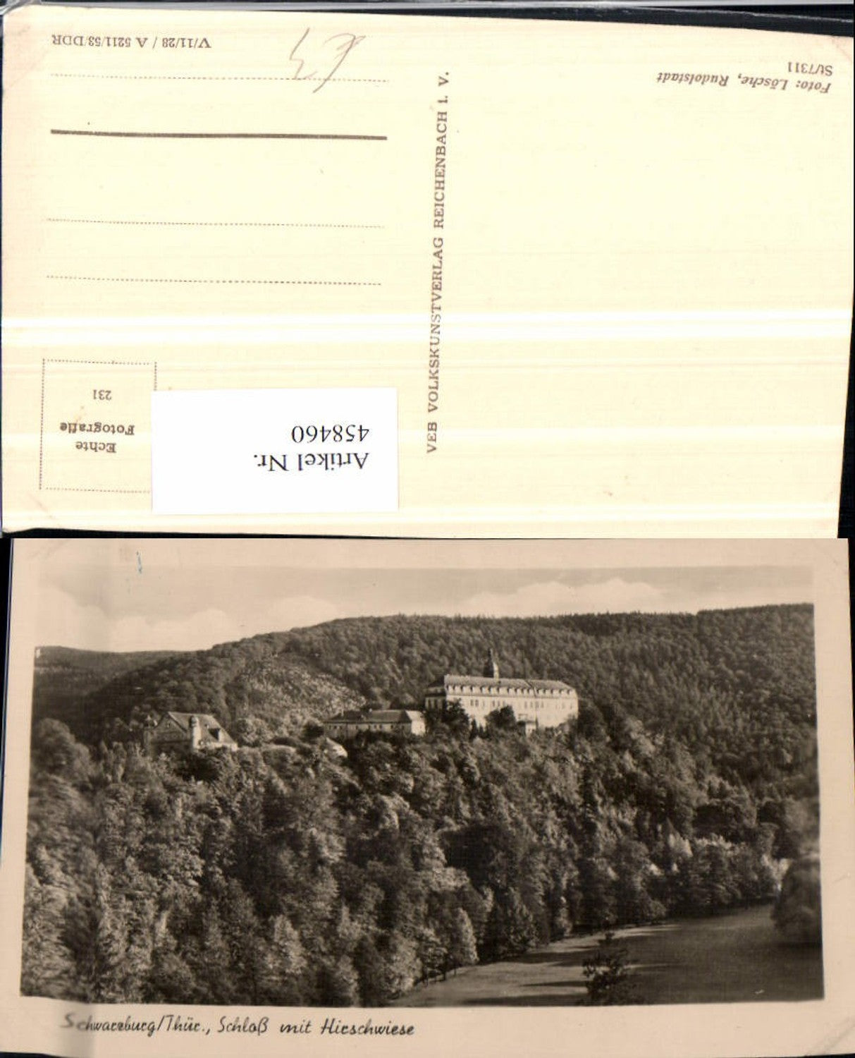 458460, Schwarzburg Castle with deer meadow