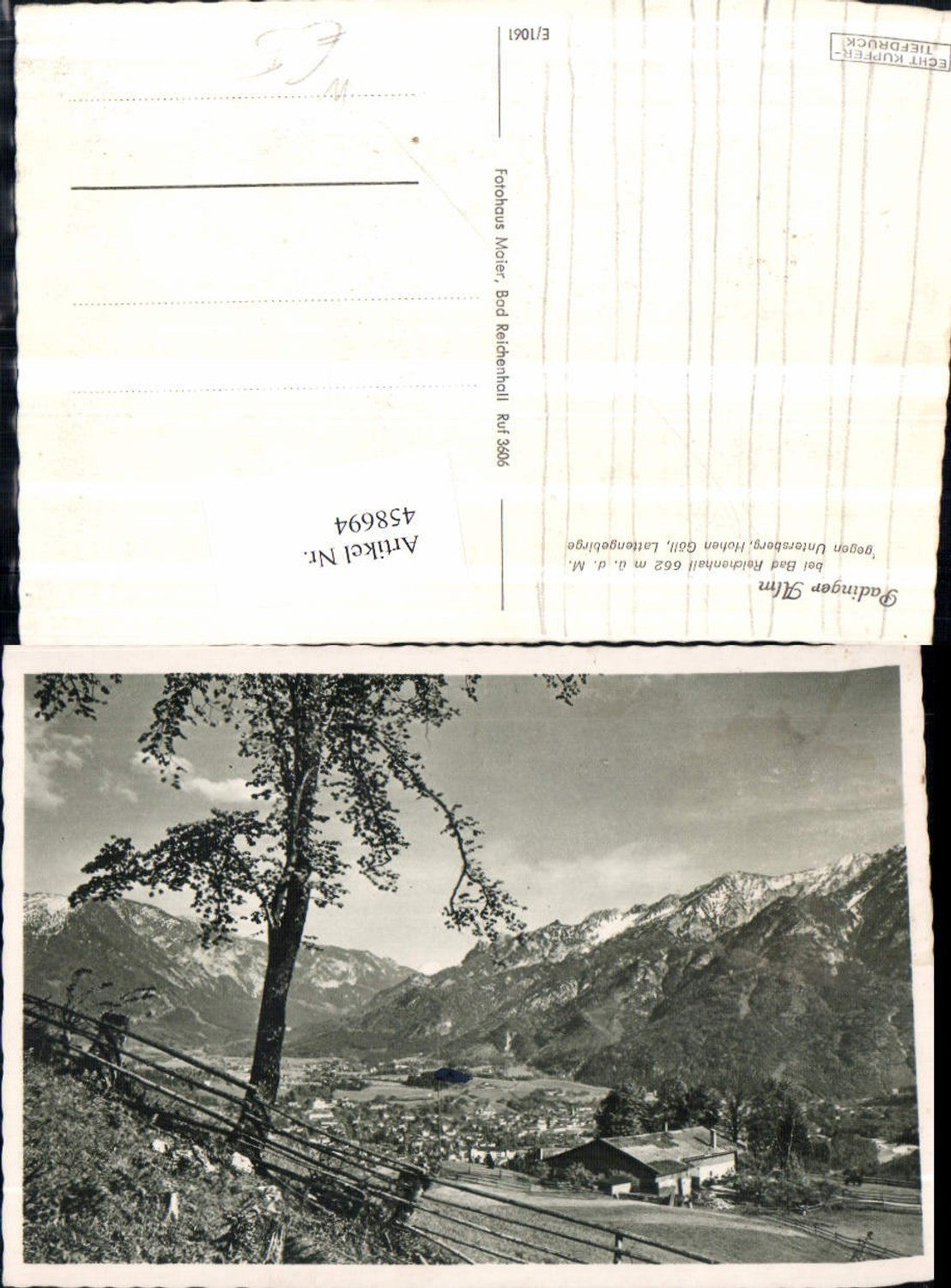 458694, Padinger Alm near Bad Reichenhall opposite Untersberg mountain scenery