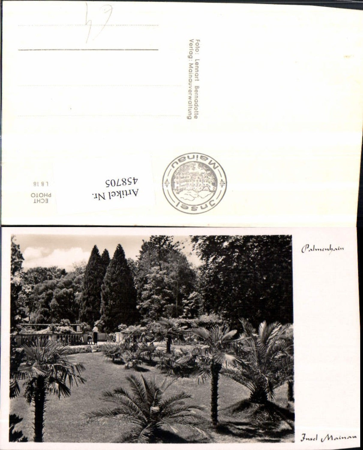458705,Insel Mainau im Bodensee Palmenhain