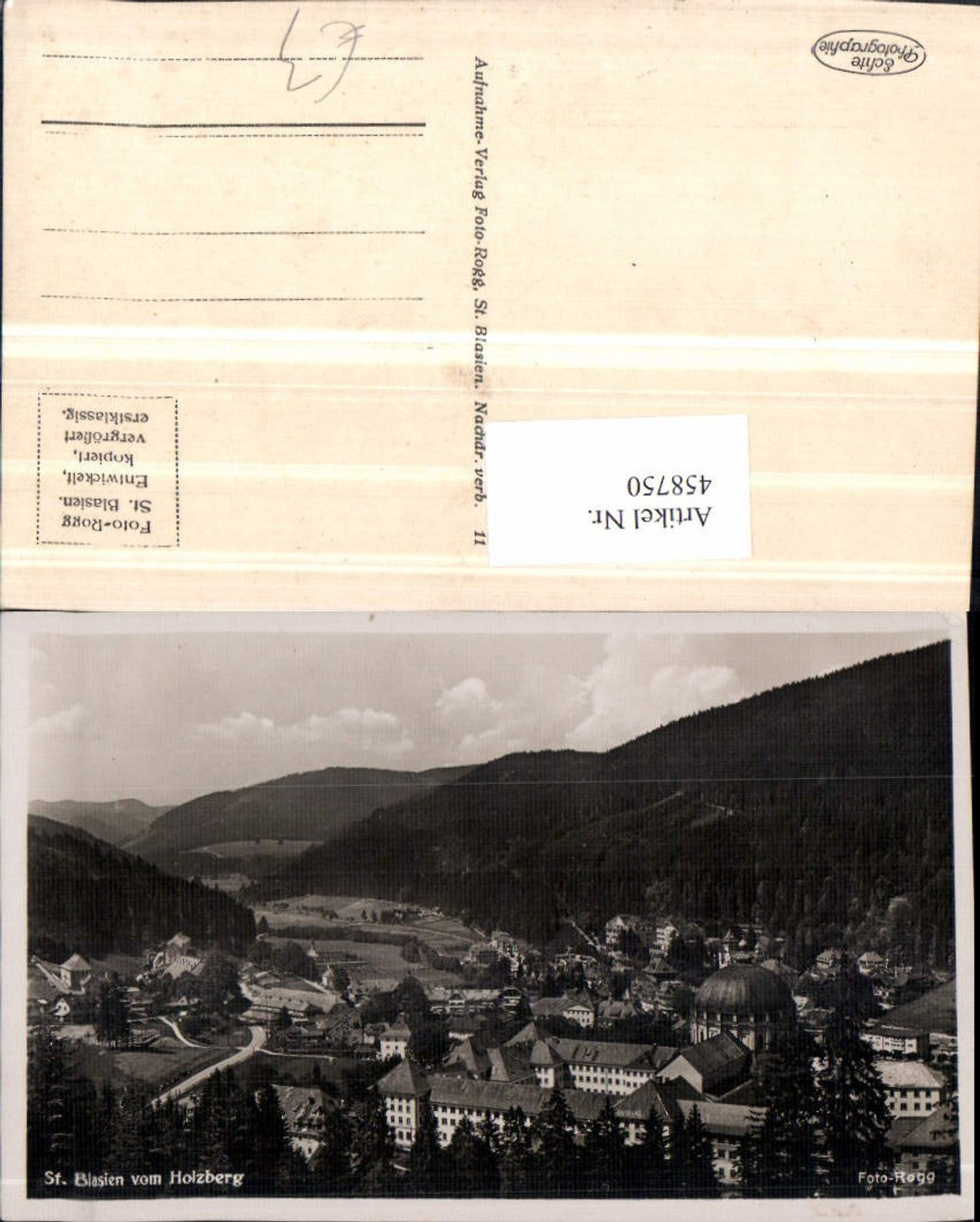 458750, St. Blasien, view from Holzberg