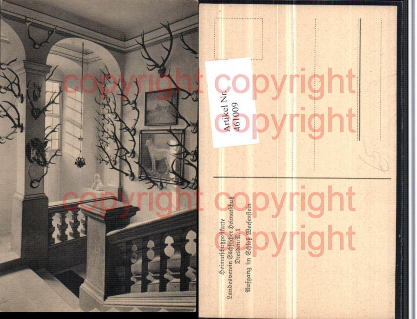461009,Schloss Weesenstein b. Müglitztal Aufgang Trophäen