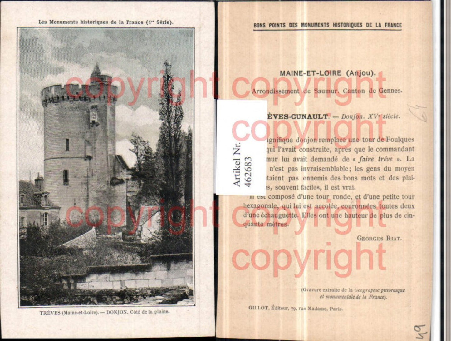 462683,Pays de la Loire Maine-et-Loire Treves Donjon Dungeon Turm