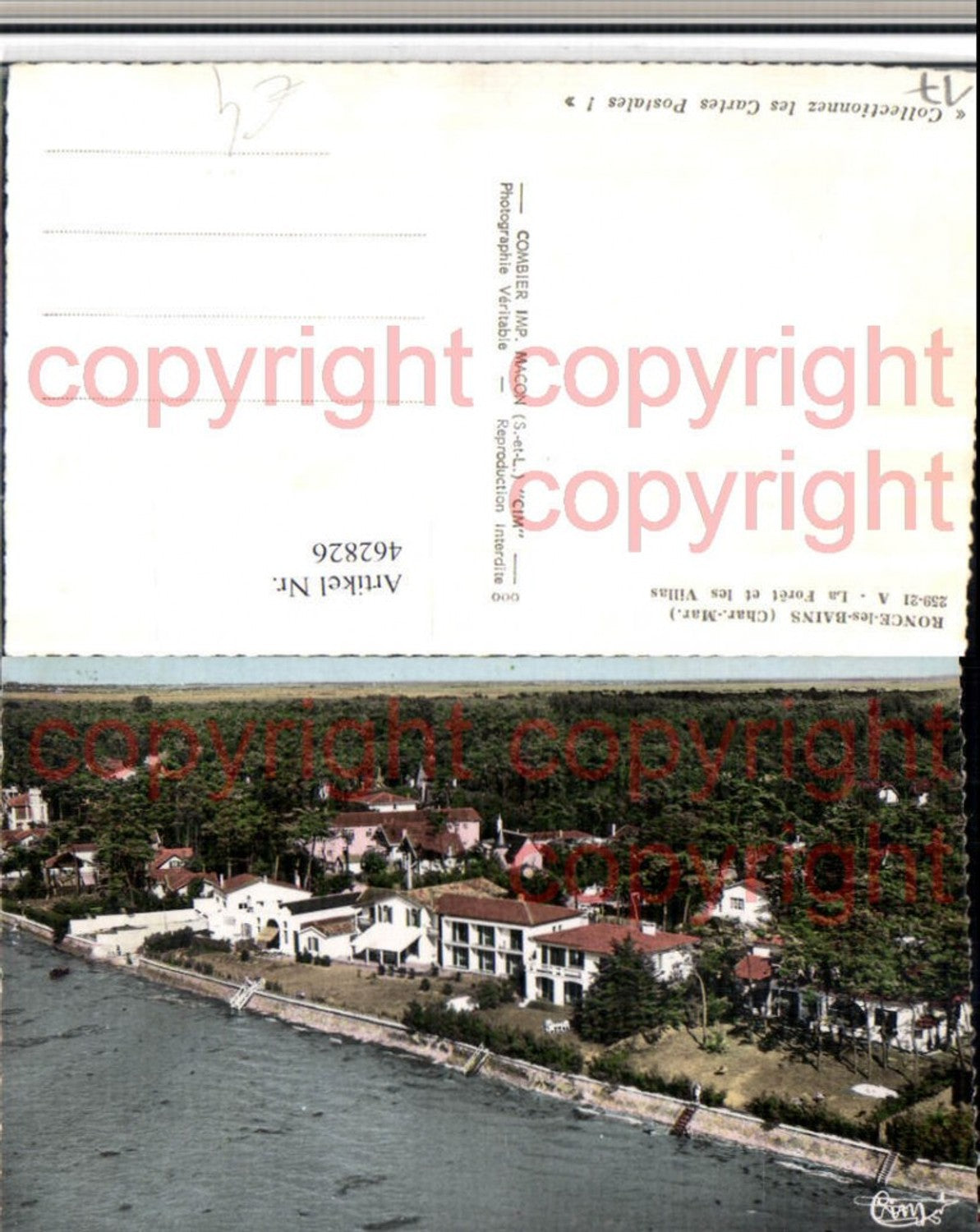 462826,Poitou-Charentes Charente-Maritime Ronce-les-Bains Foret et Villas