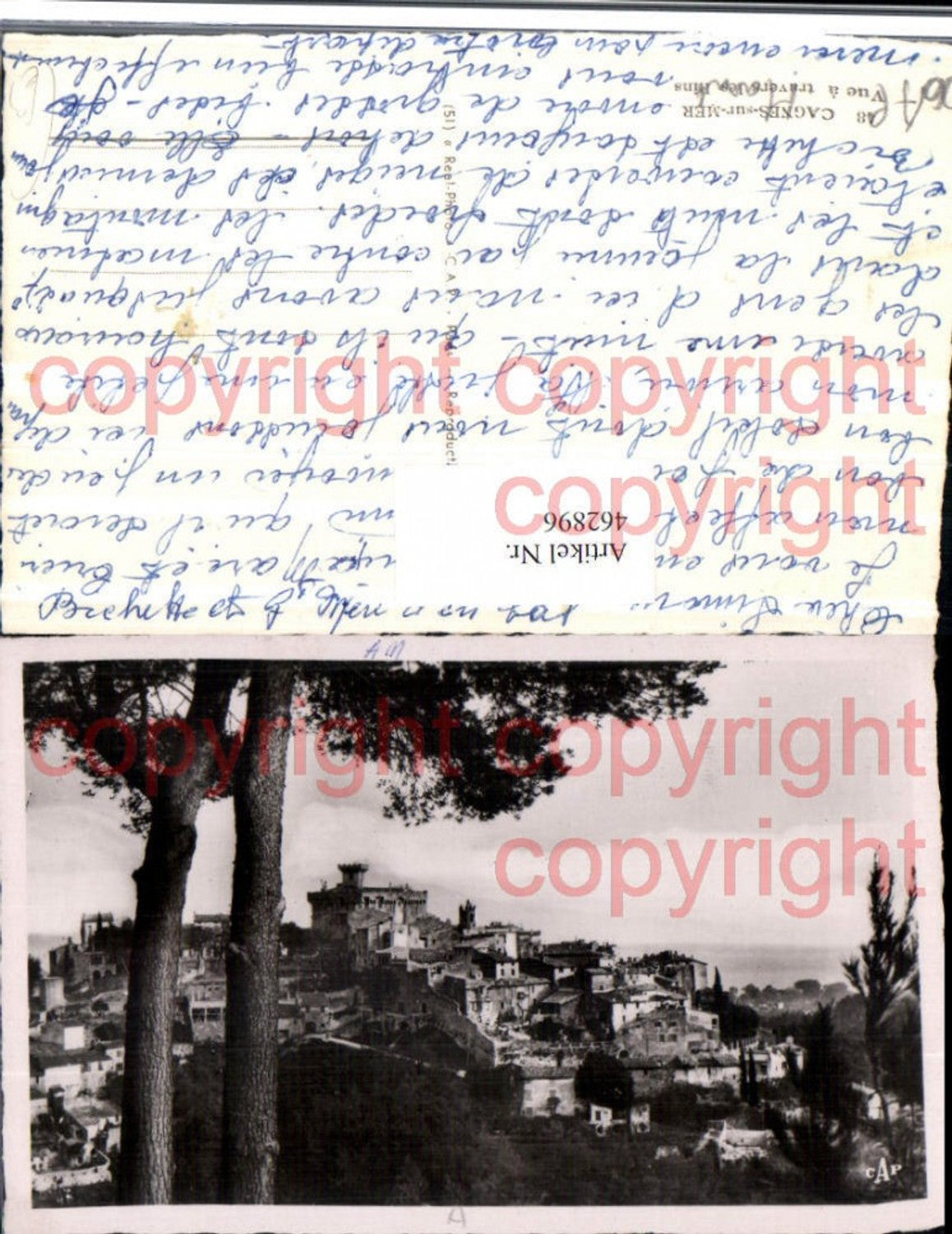 462896,Provence-Alpes-Cote-Azur Alpes-Maritimes Cagnes-sur-Mer Vue travers les Pins Totale