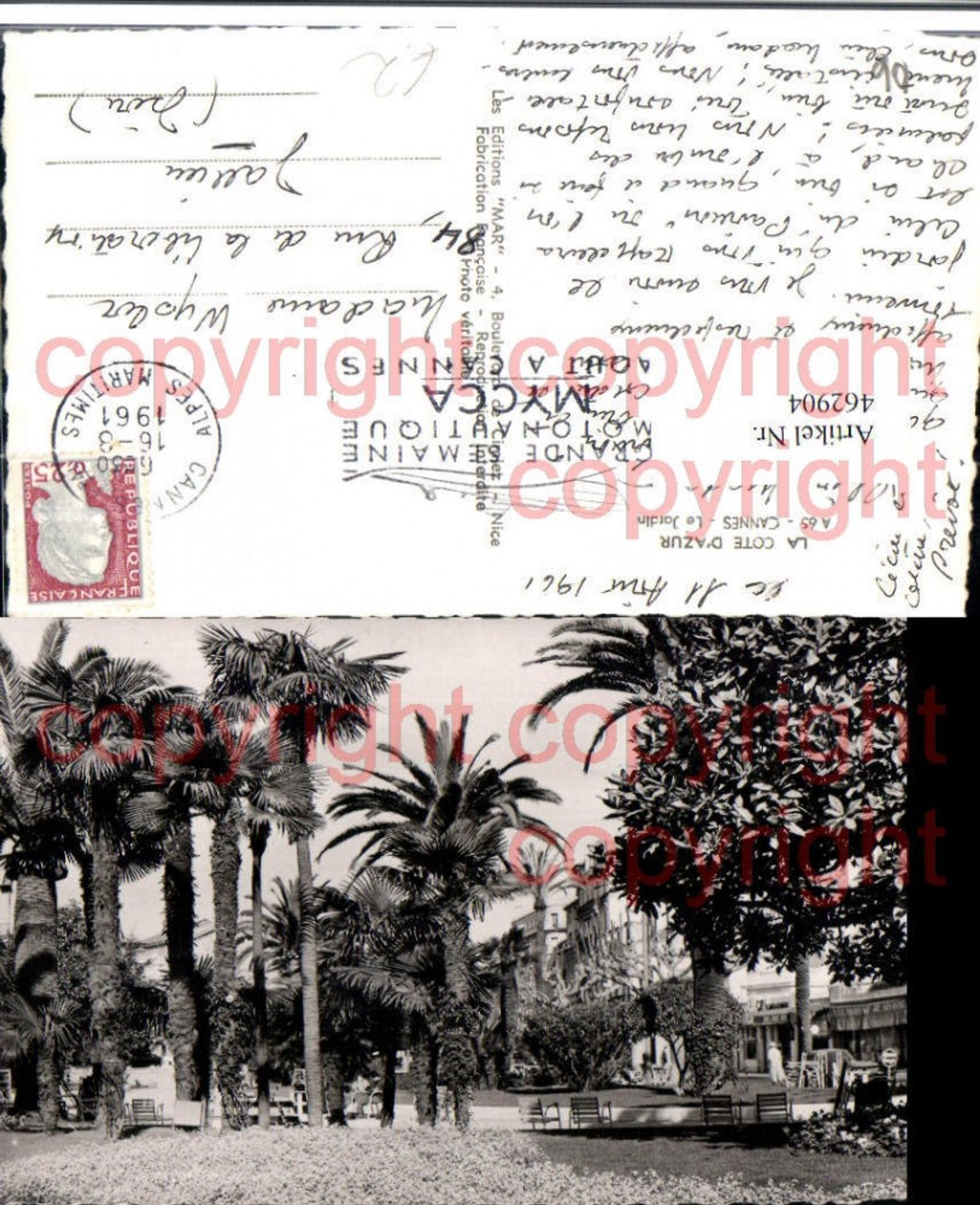 462904,Provence-Alpes-Cote-Azur Alpes-Maritimes Cannes Le Jardin Park Palmen