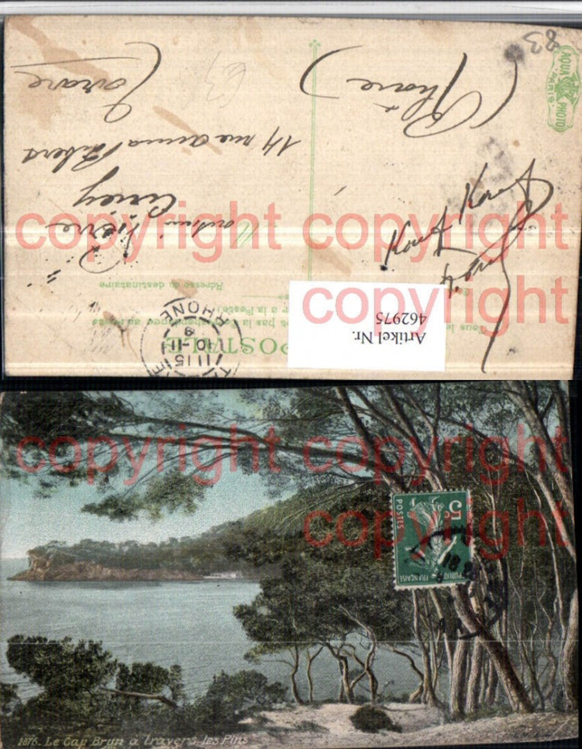 462975,Provence-Alpes-Cote-Azur Var Cap Brun a travers les Pins Küste Bäume