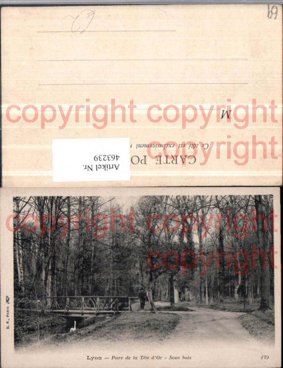463239,Rhone-Alpes Rhone Lyon Parc de la Tete d'Or Sous bois Wald Brücke