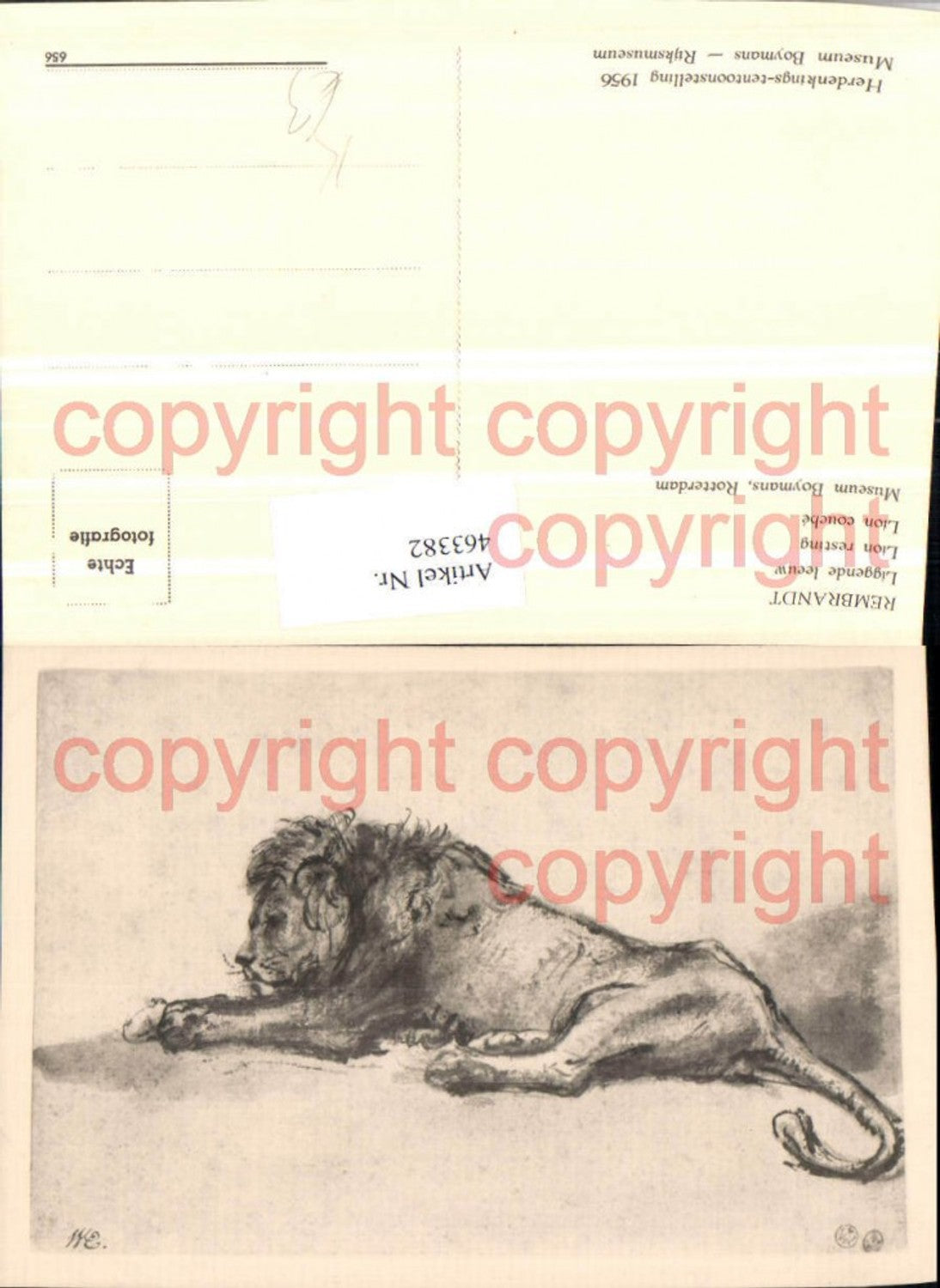 463382,Künstler AK Rembrandt Lion resting Löwe Tier