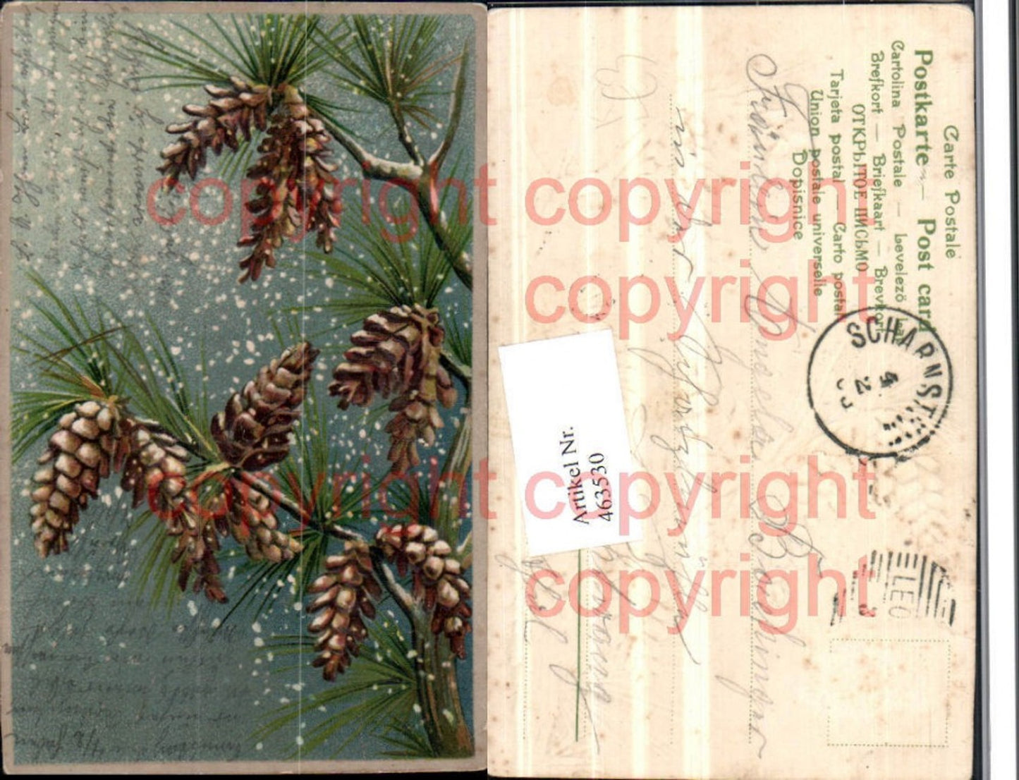 463530,Präge Künstler Litho Baum Föhre Ast Zapfen