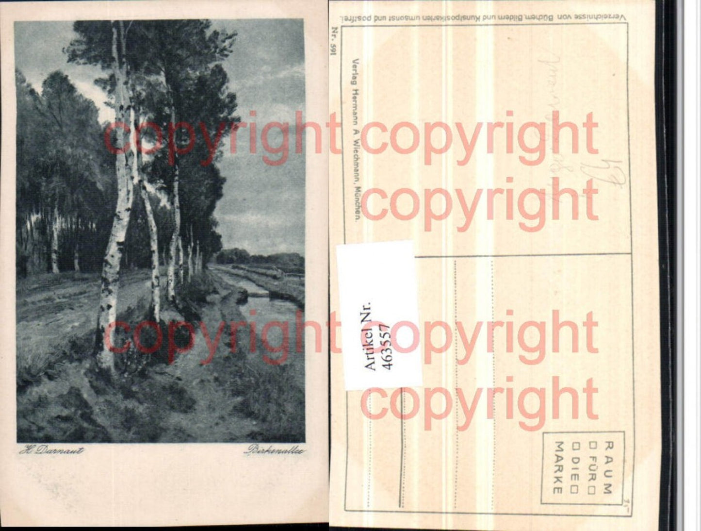 463557,Künstler AK Hugo Darnaut Birkenallee Bäume