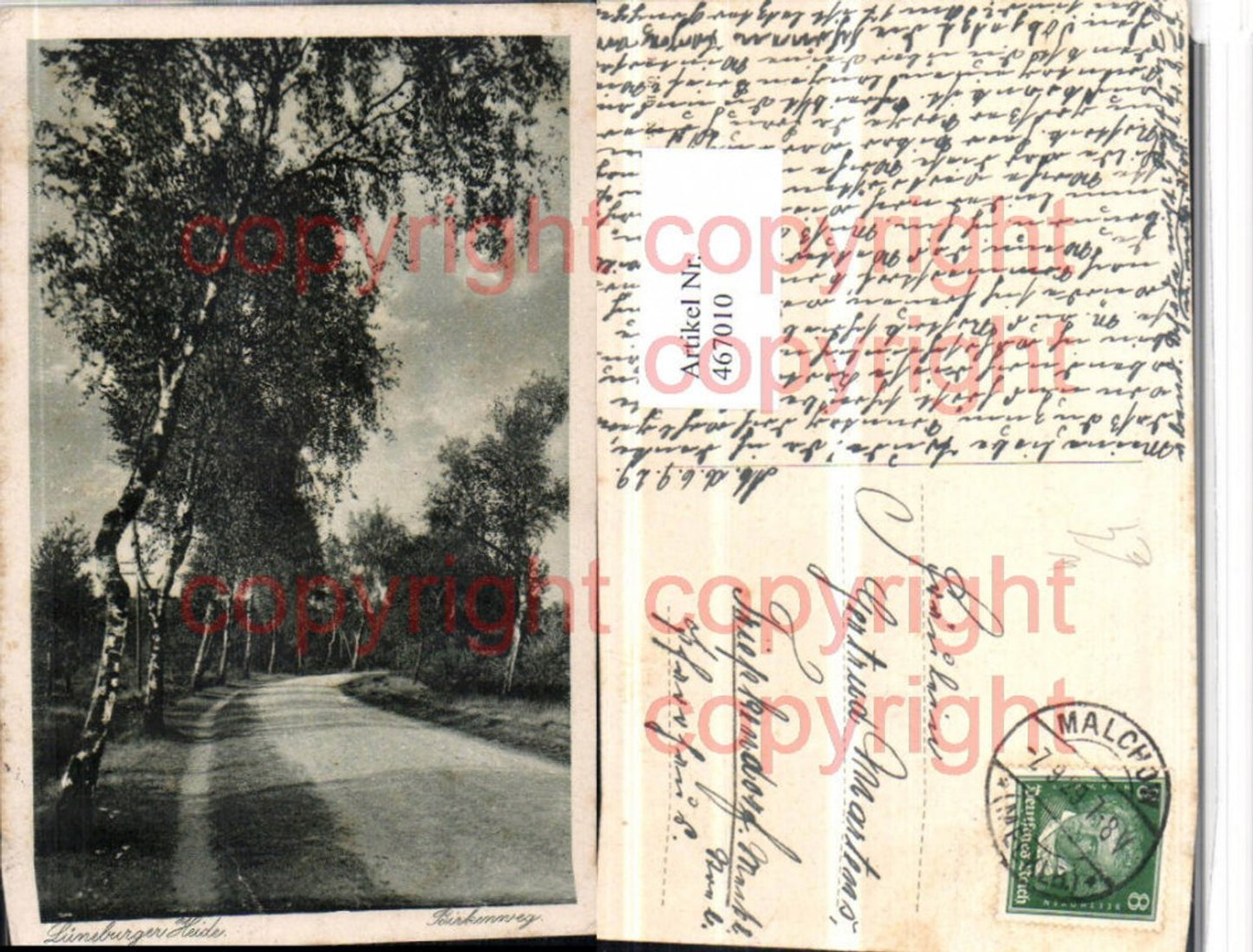 467010,Lüneburger Heide b. Lüneburg Birkenweg Wegpartie