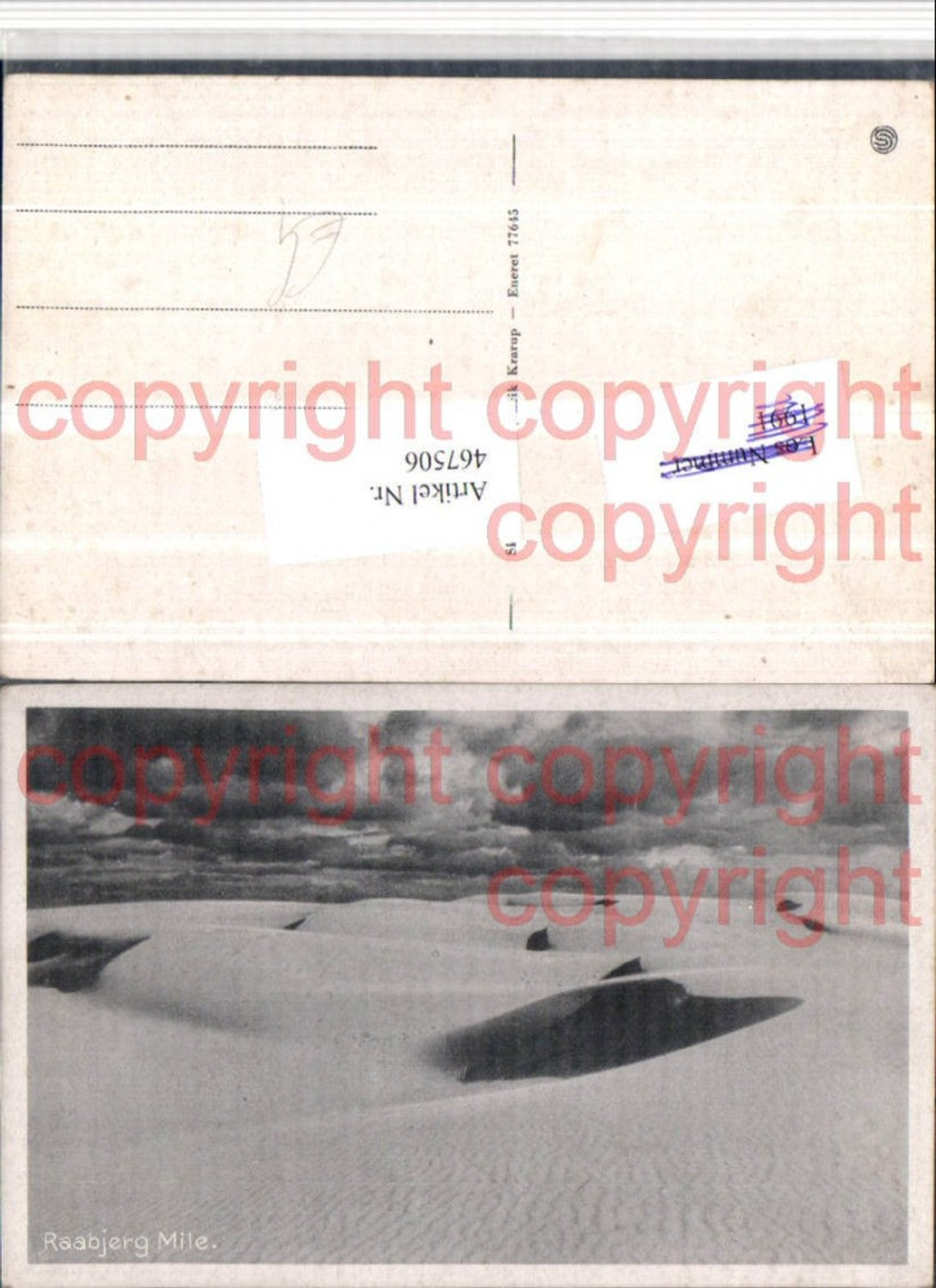 467506,Denmark Raabjerg Mile Dune